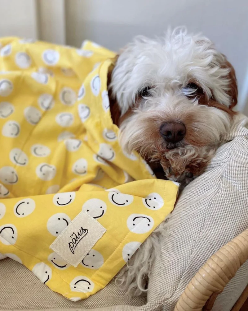 Cotton + Terry Dog Towel - Image 2