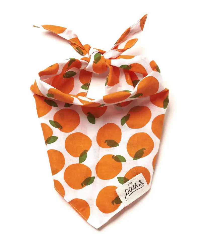 Orange You Pretty Dog Bandana (FINAL SALE)
