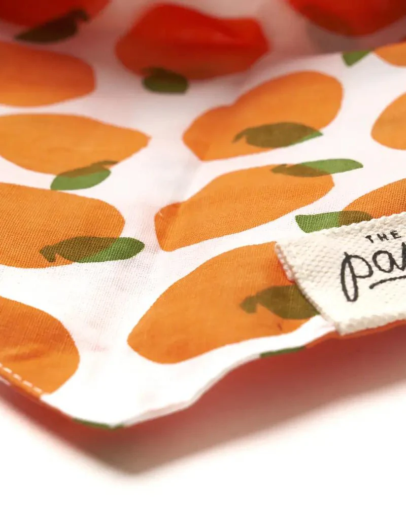Orange You Pretty Dog Bandana (FINAL SALE) - Image 3