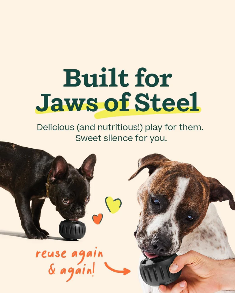 The Power Chewer Pupsicle Enrichment Dog Toy - Image 5