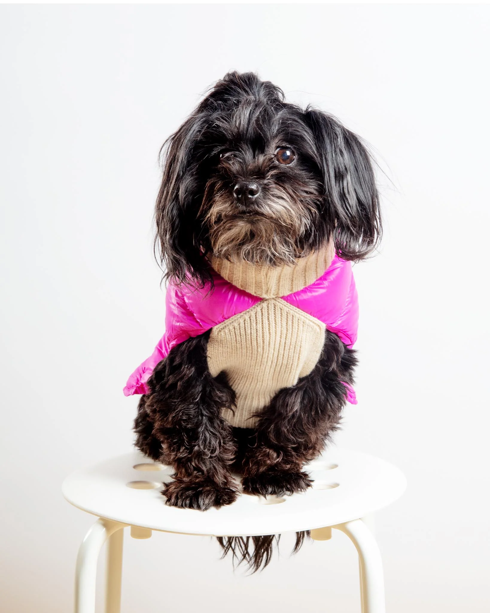 The Puffer Dog Sweater in Tan & Pink - Image 2