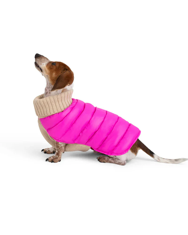 The Puffer Dog Sweater in Tan & Pink - Image 3