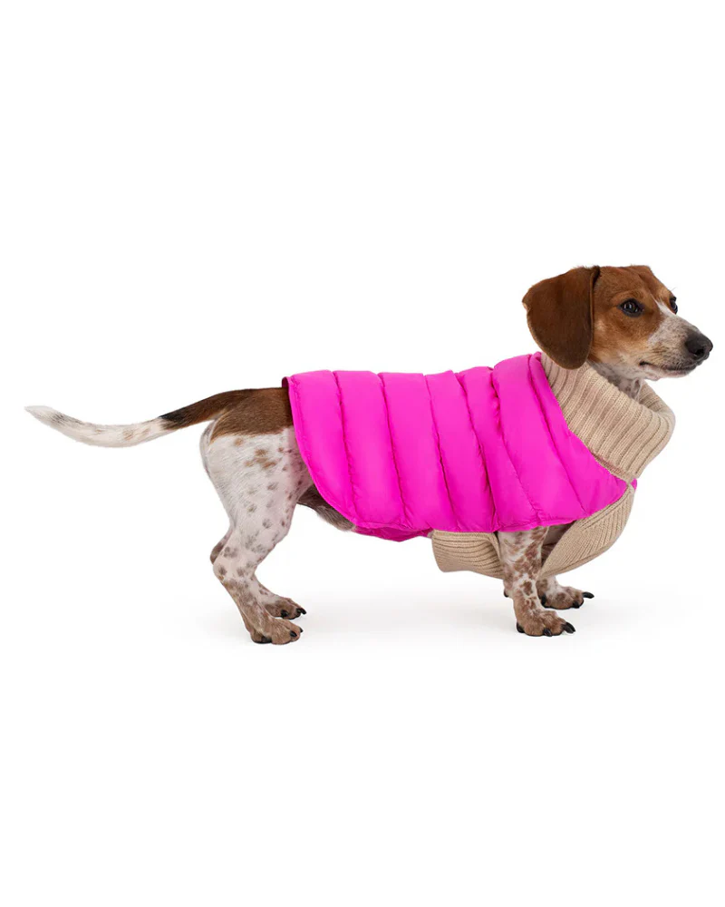 The Puffer Dog Sweater in Tan & Pink - Image 4