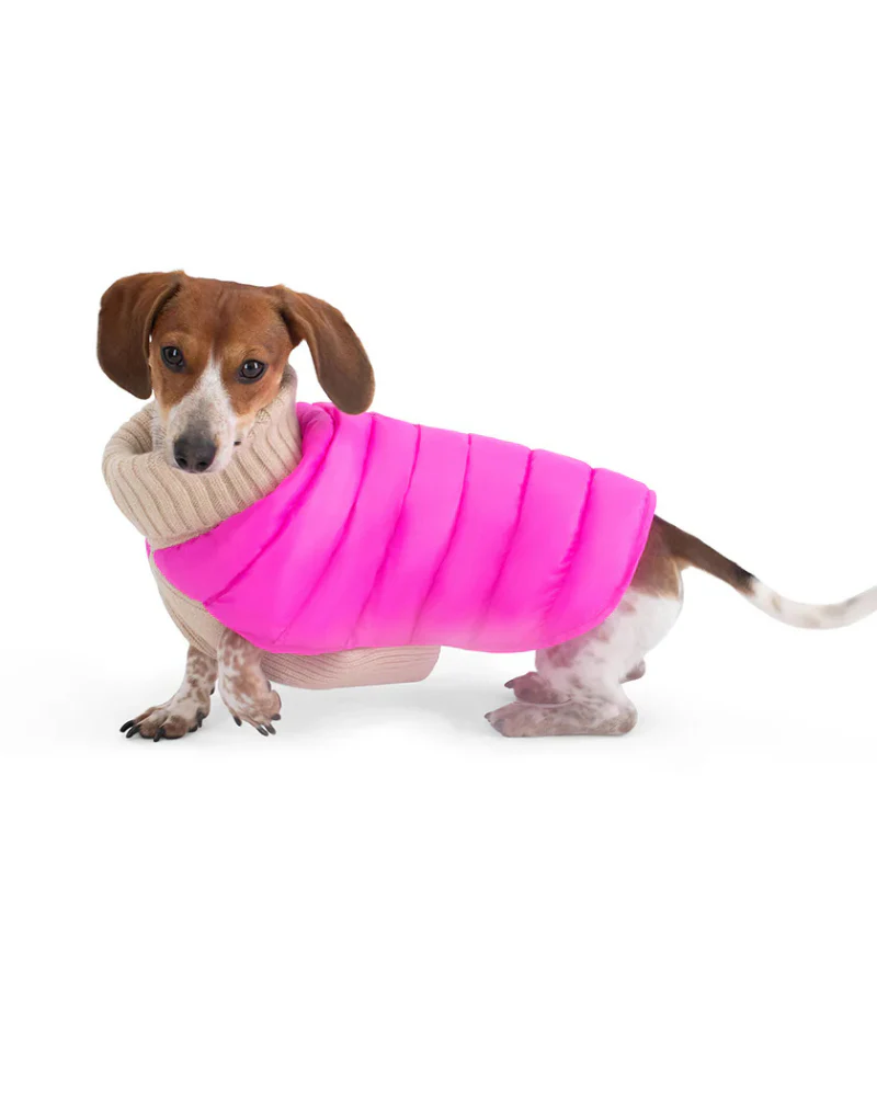 The Puffer Dog Sweater in Tan & Pink - Image 5