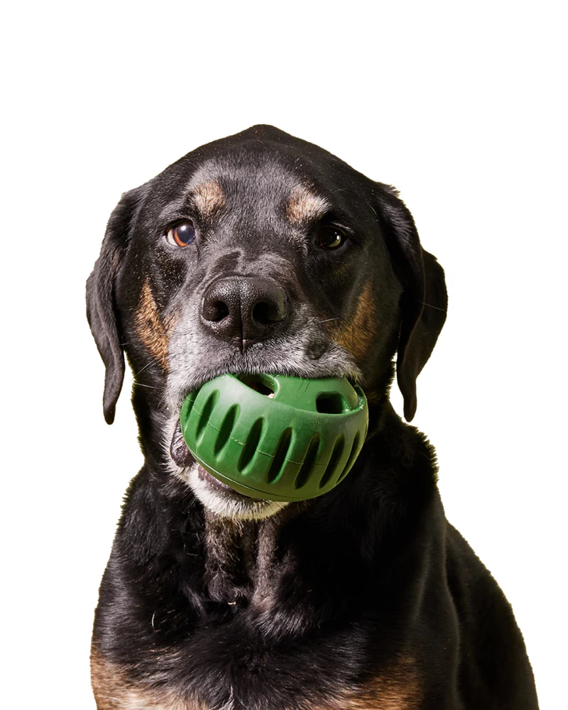 The Pupsicle Enrichment Dog Toy - Image 8