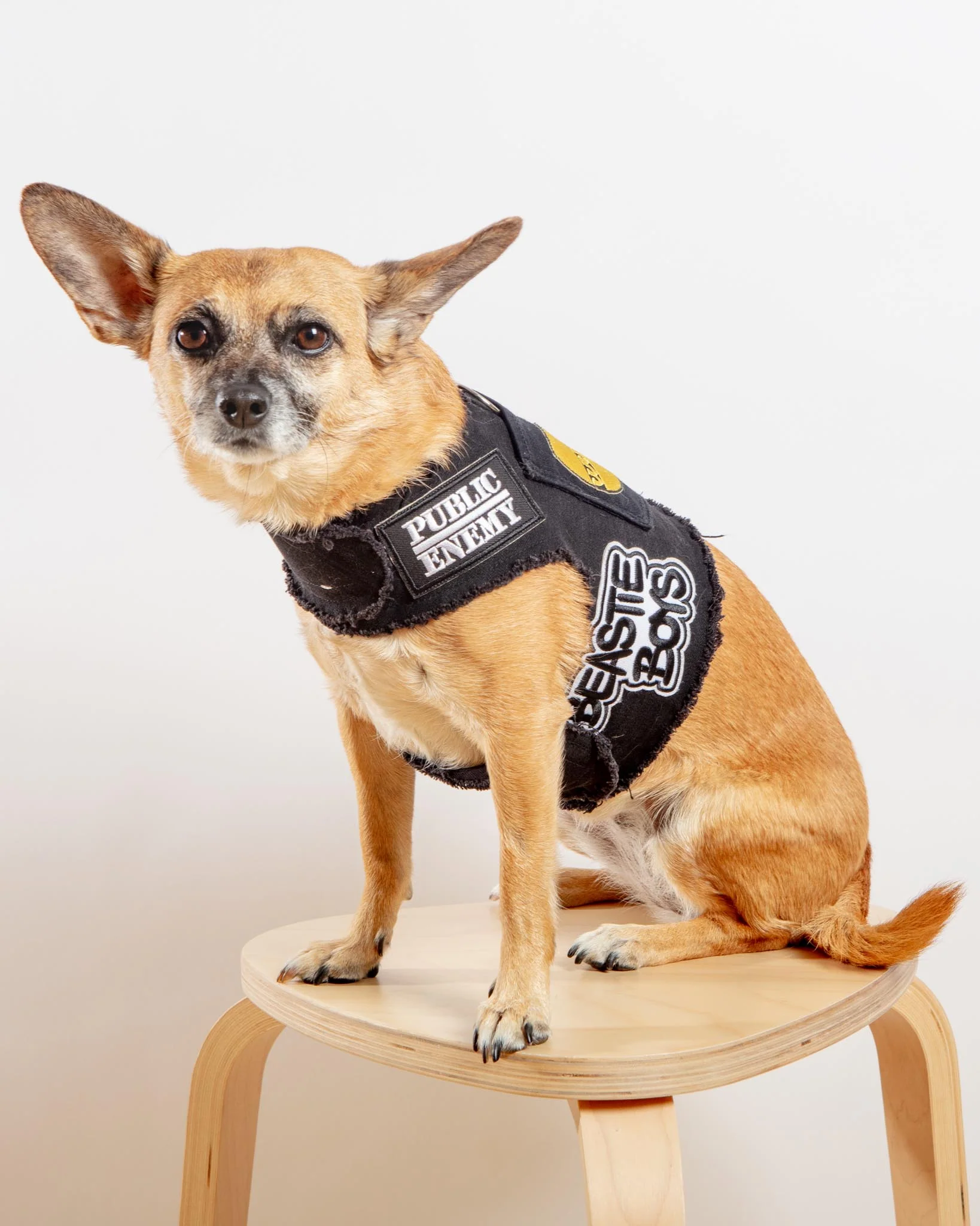 The High Life Rocker Upcycled Denim Dog Harness (FINAL SALE) - Image 5