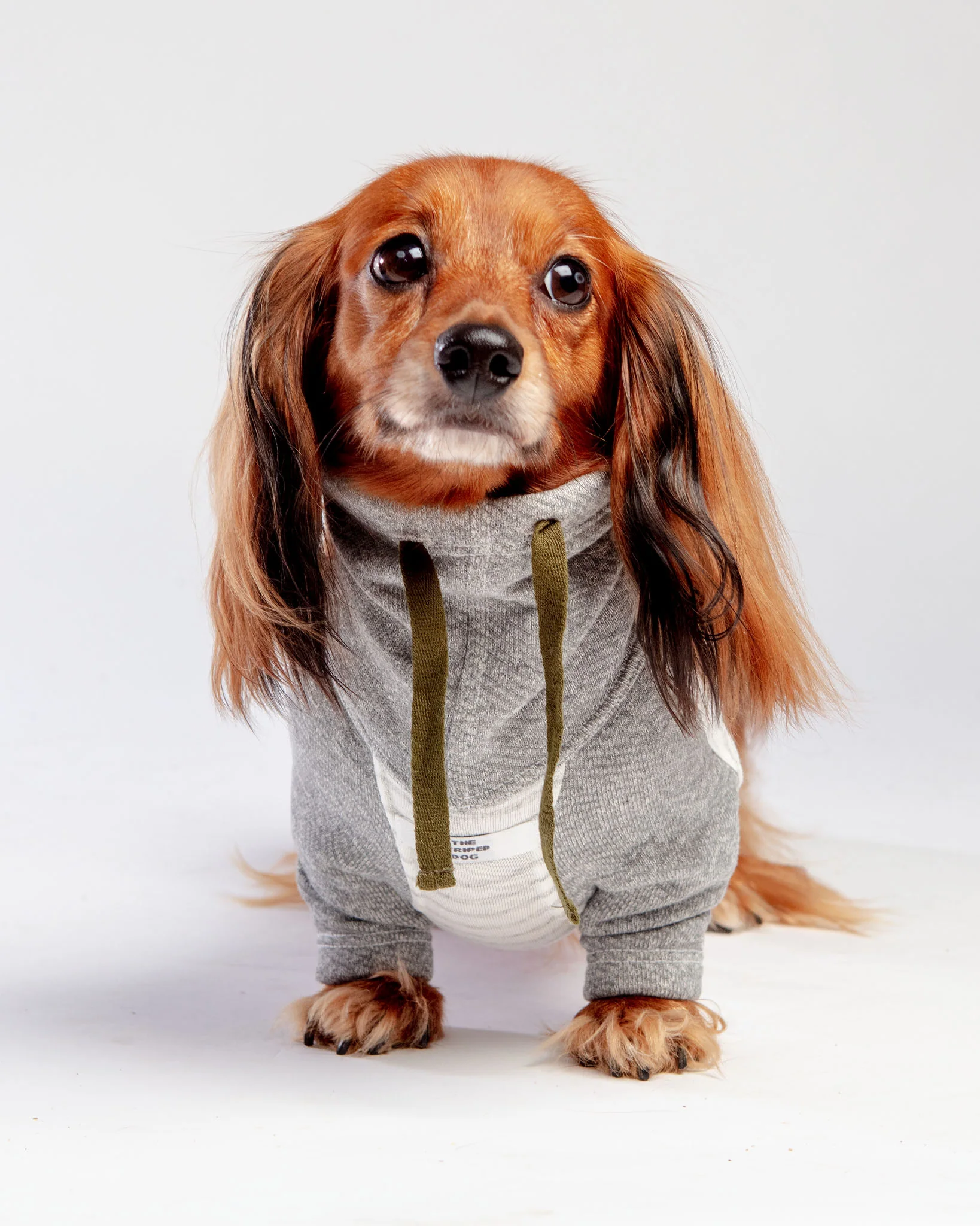 Oxford Stripe Dog Funnel Neck Pullover<br>((CLEARANCE)