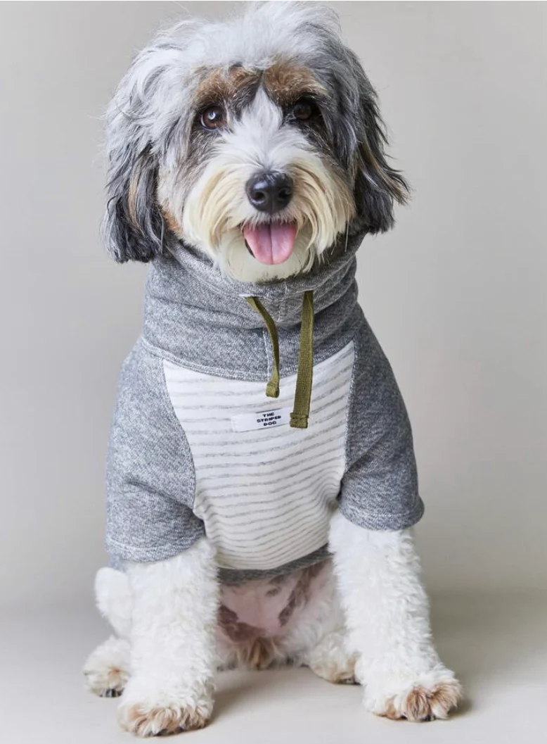 Oxford Stripe Dog Funnel Neck Pullover<br>((CLEARANCE) - Image 2