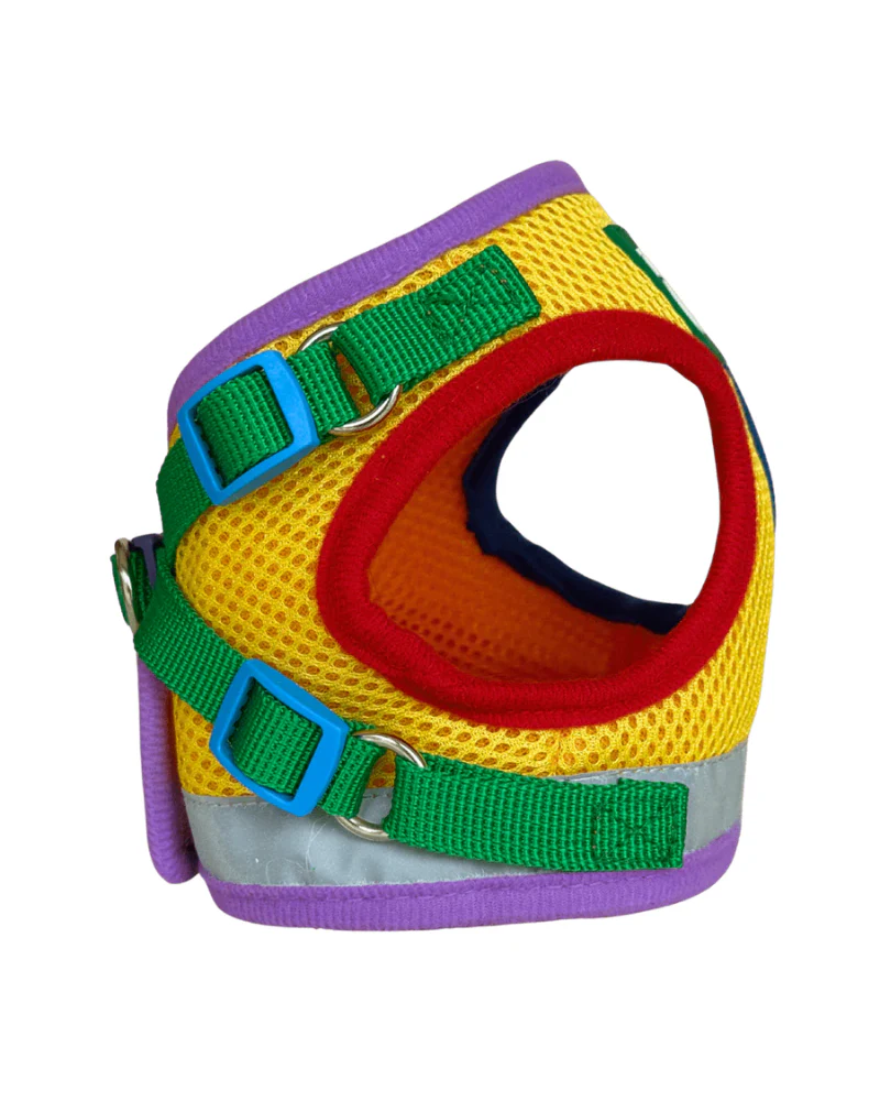 "The True Adventurer" Reflective Cat & Kitten Harness and Leash in Multicolor - Image 6