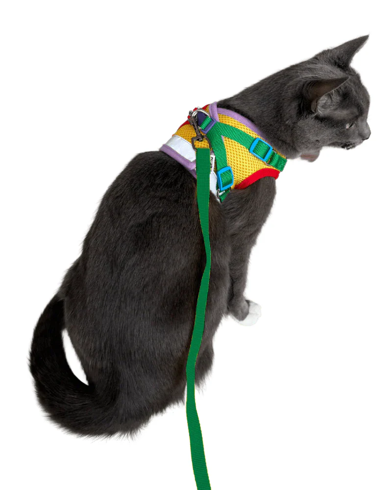 "The True Adventurer" Reflective Cat & Kitten Harness and Leash in Multicolor - Image 8