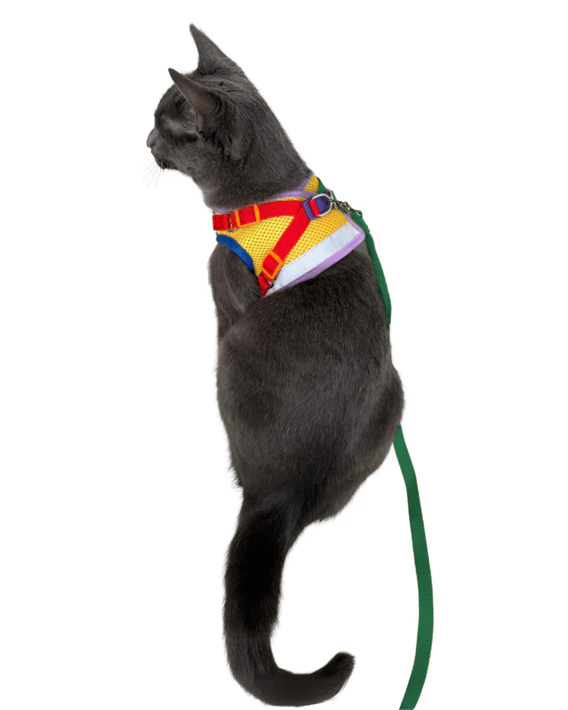 "The True Adventurer" Reflective Cat & Kitten Harness and Leash in Multicolor - Image 9