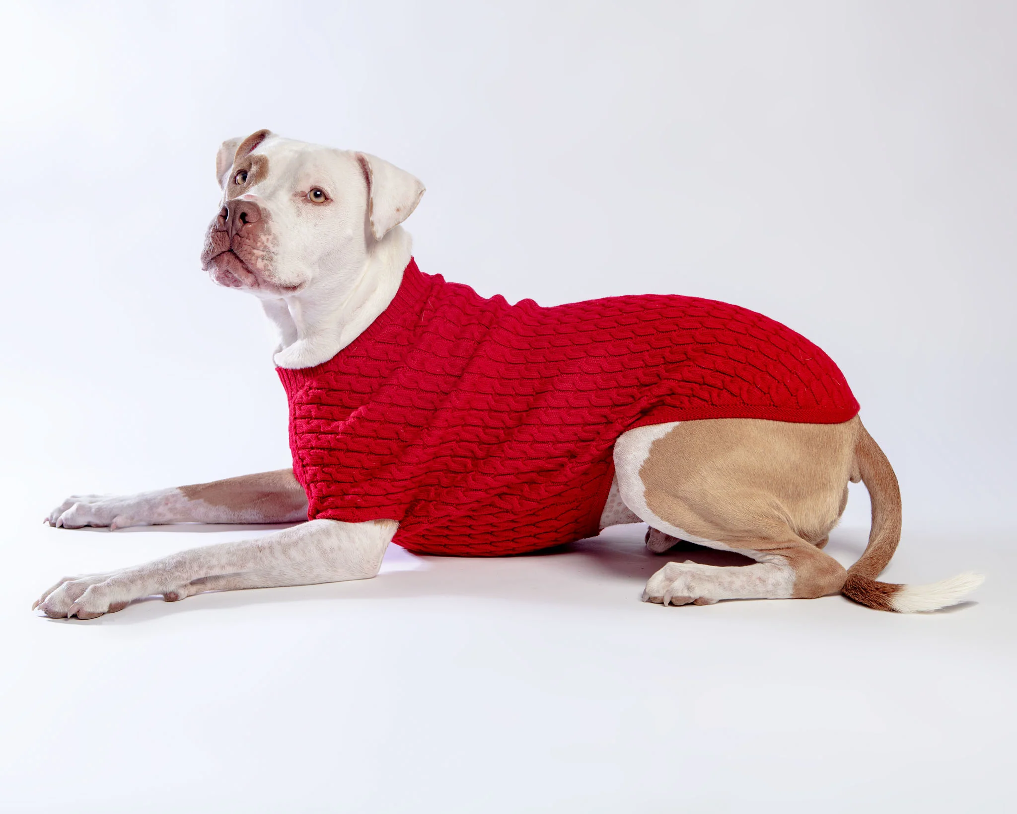 The Uptown Cable Knit Sweater in Big Apple Red Merino Wool (Made in NYC) (FINAL SALE) - Image 5