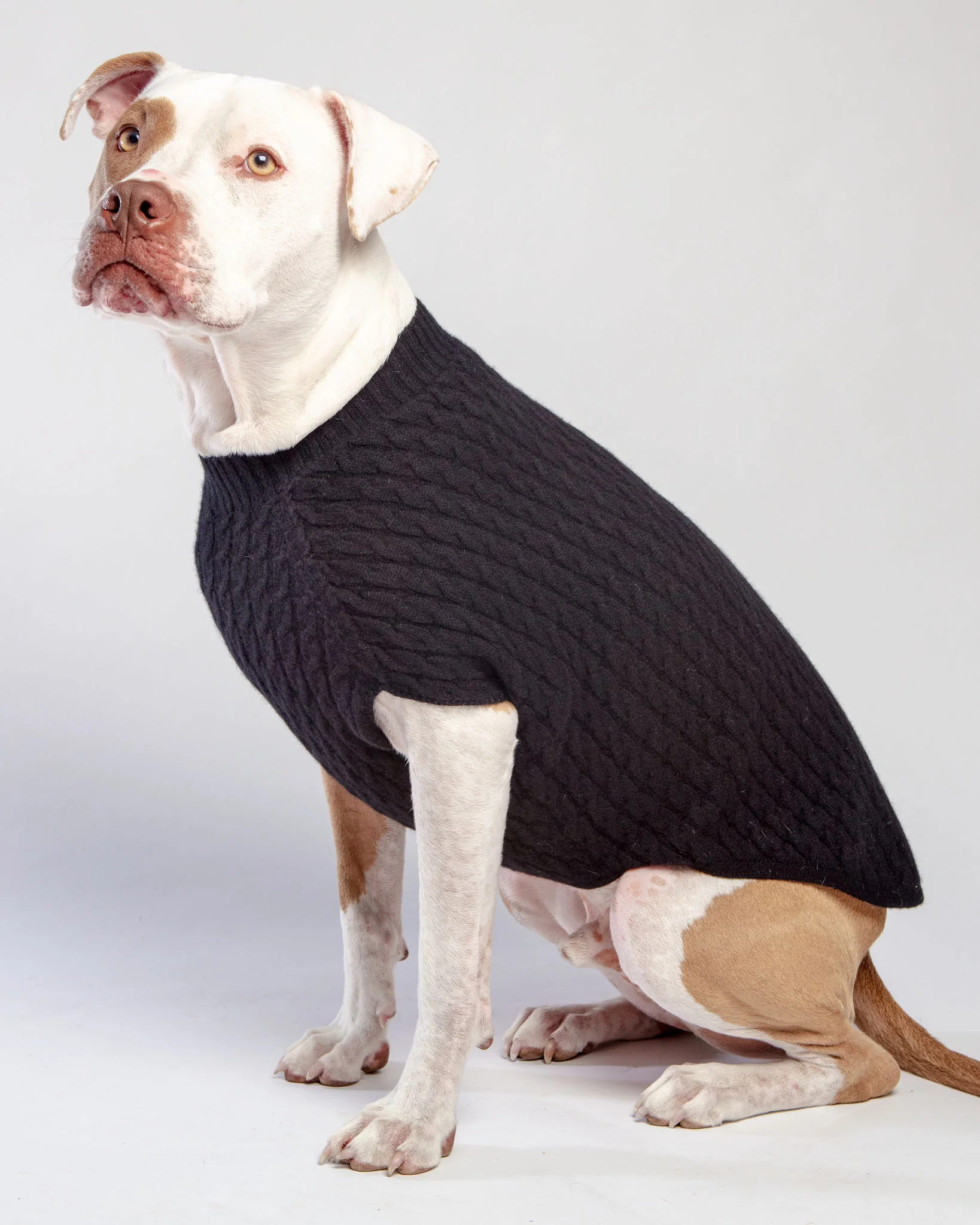 The Uptown Cable Knit Sweater in Black Cashmere (Made in NYC) - Image 3
