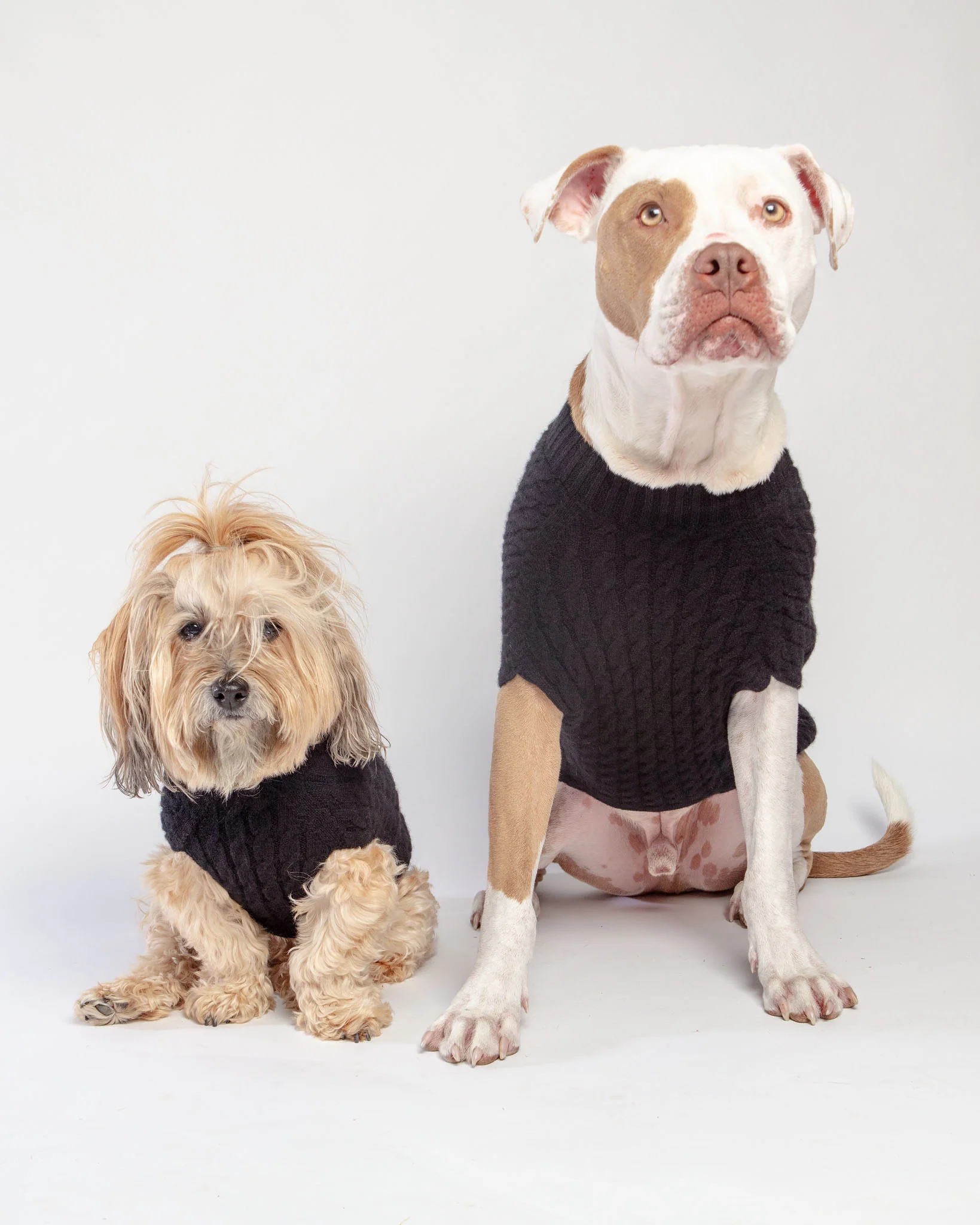 The Uptown Cable Knit Sweater in Black Cashmere (Made in NYC) - Image 6