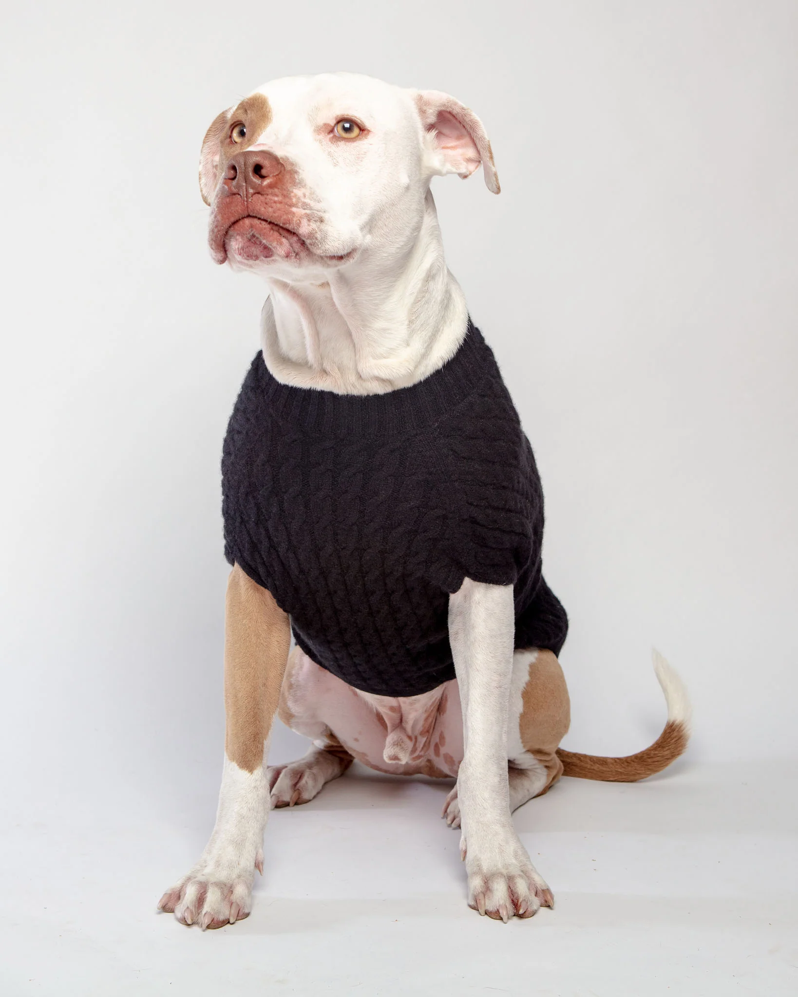 The Uptown Cable Knit Sweater in Black Cashmere (Made in NYC) - Image 7
