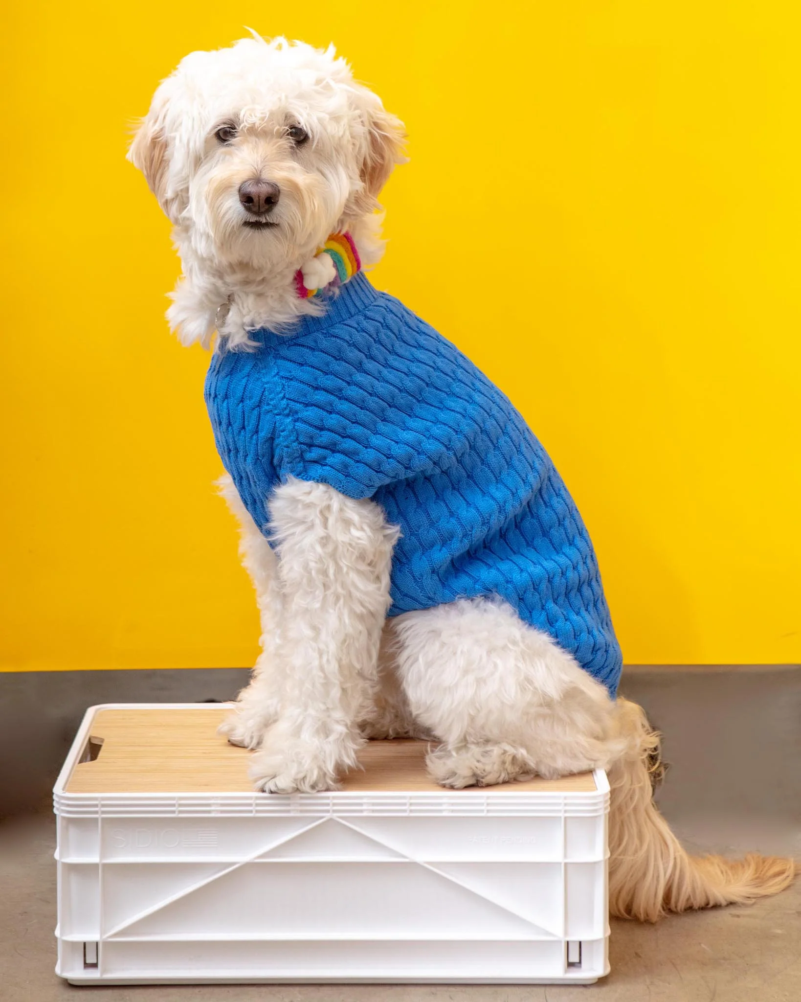 The Uptown Cable Knit Sweater in French Blue American Cotton (Made in NYC) (FINAL SALE)