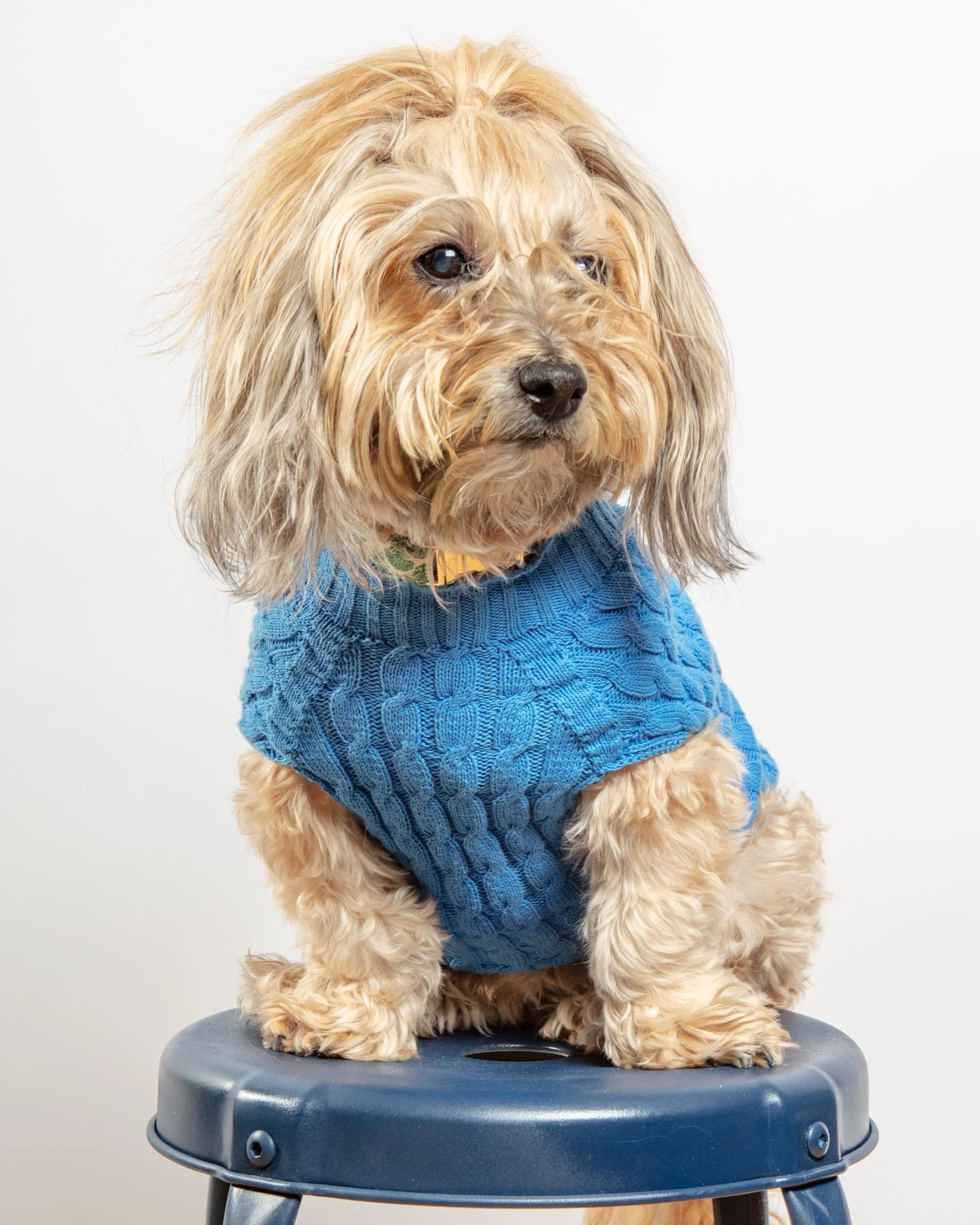 The Uptown Cable Knit Sweater in French Blue American Cotton (Made in NYC) (FINAL SALE) - Image 3