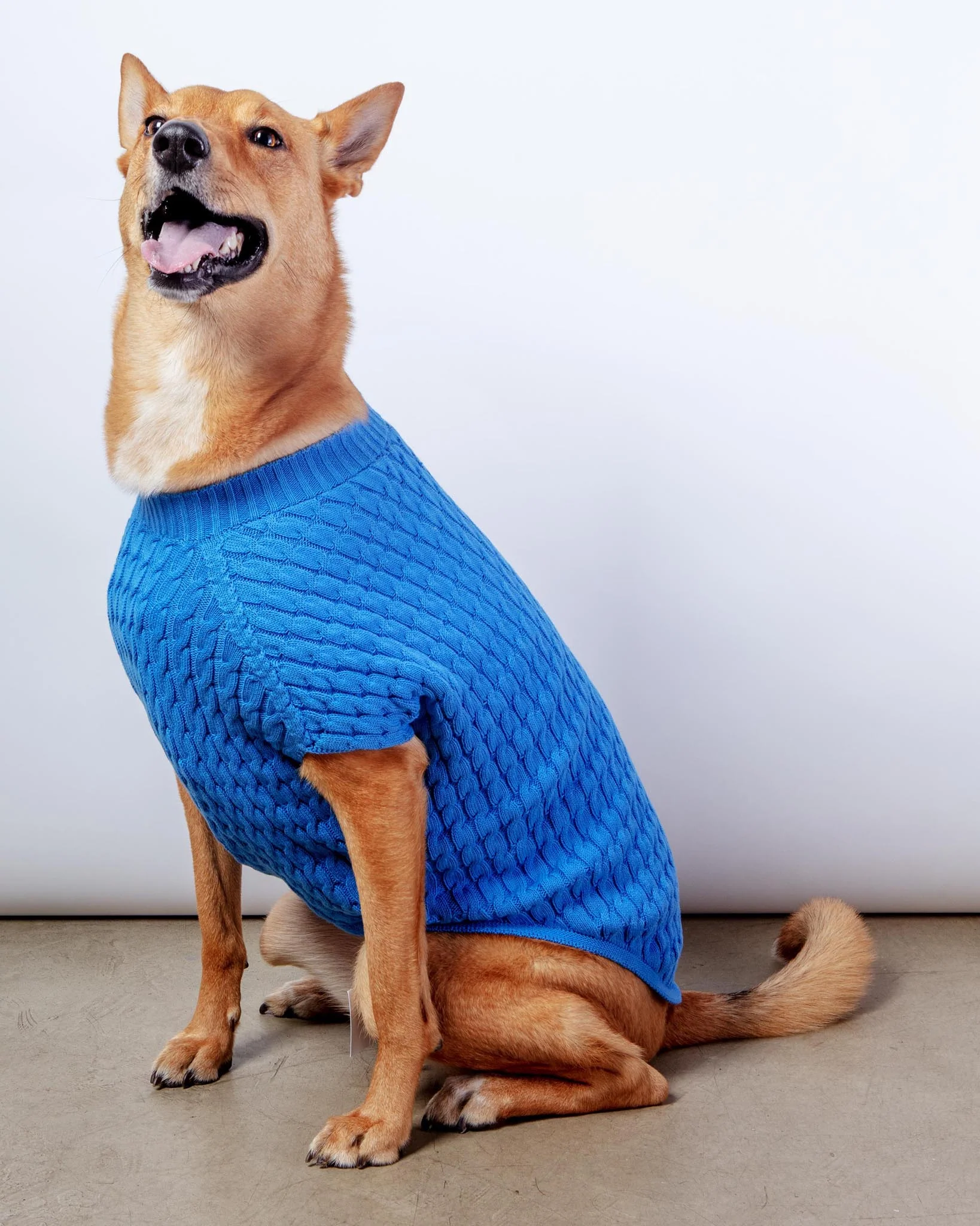 The Uptown Cable Knit Sweater in French Blue American Cotton (Made in NYC) (FINAL SALE) - Image 4