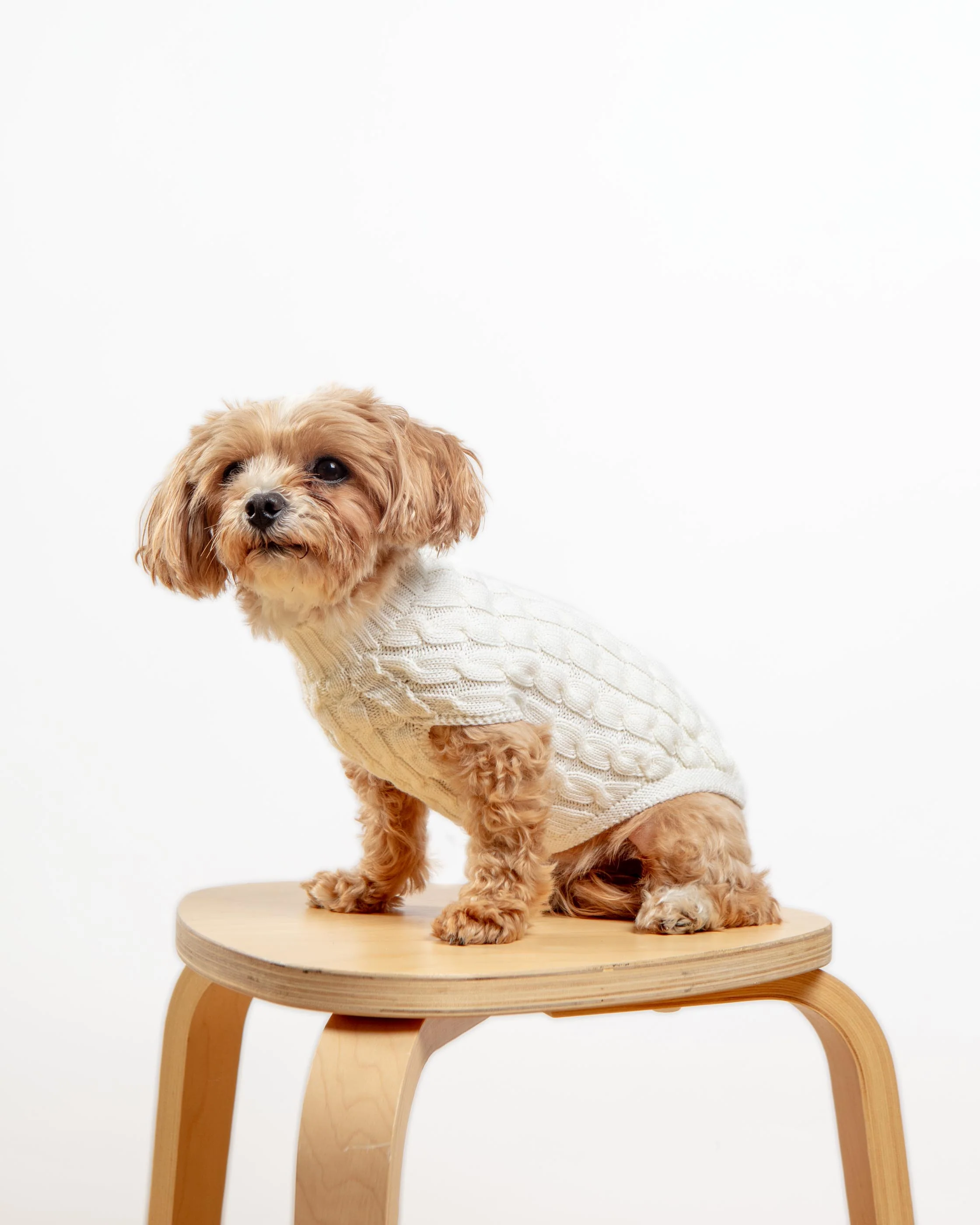 The Uptown Cable Knit Sweater in Natural Merino Wool (Made in NYC) - Image 2