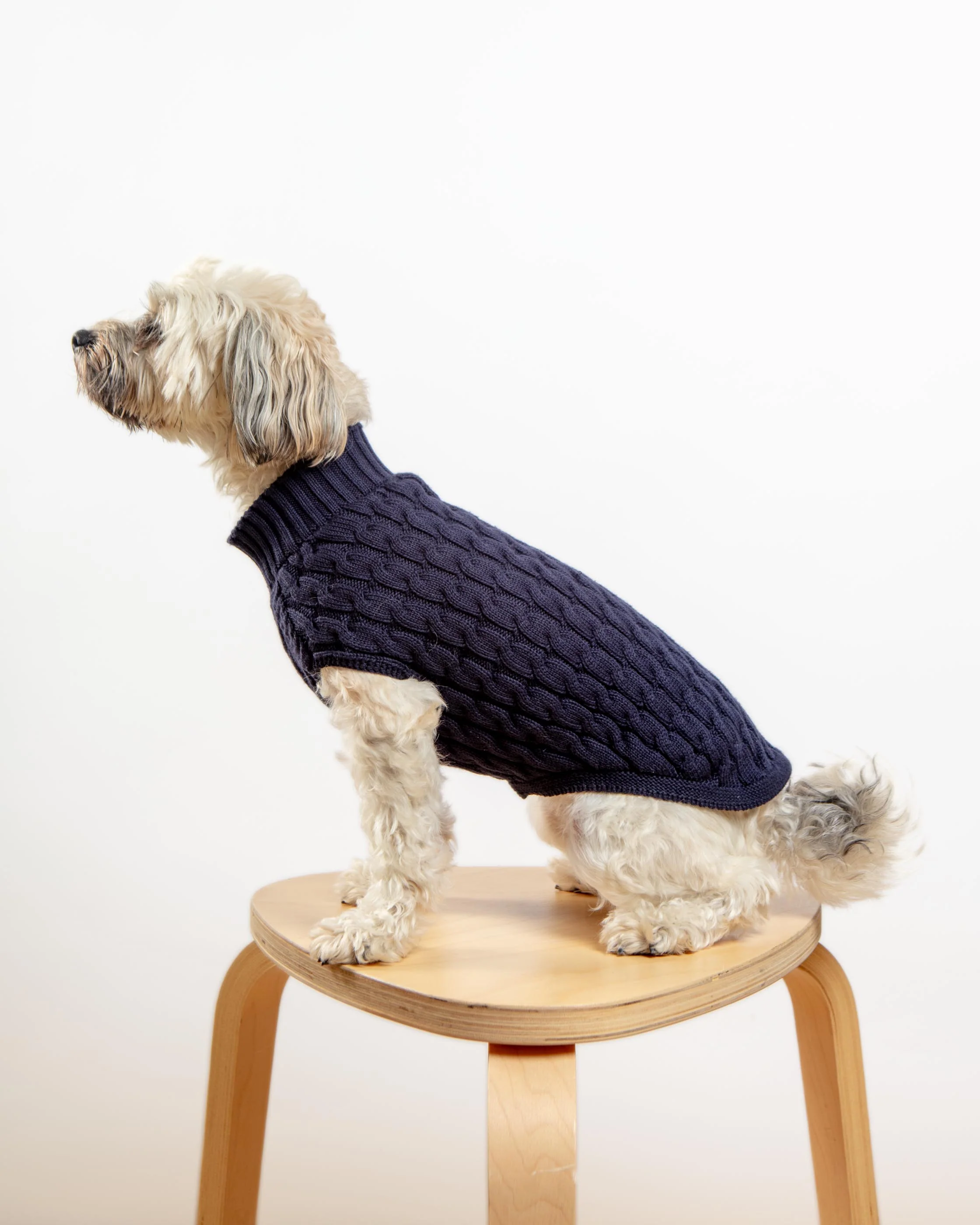 The Uptown Cable Knit Sweater in Navy Blue Cotton (Made in NYC) - Image 2