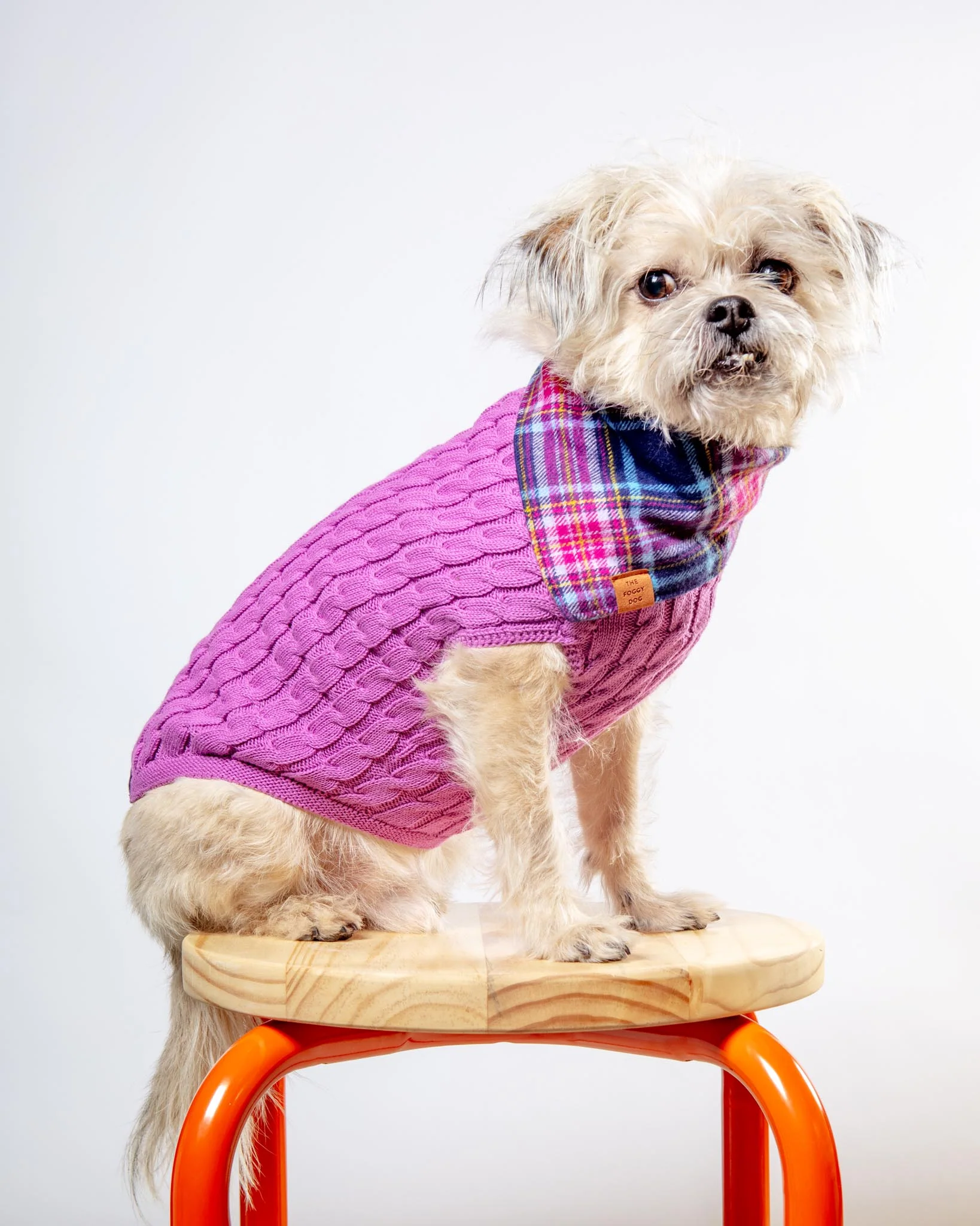 The Uptown Cable Knit Sweater in Radiant Orchid American Cotton (Made in NYC) (FINAL SALE) - Image 2