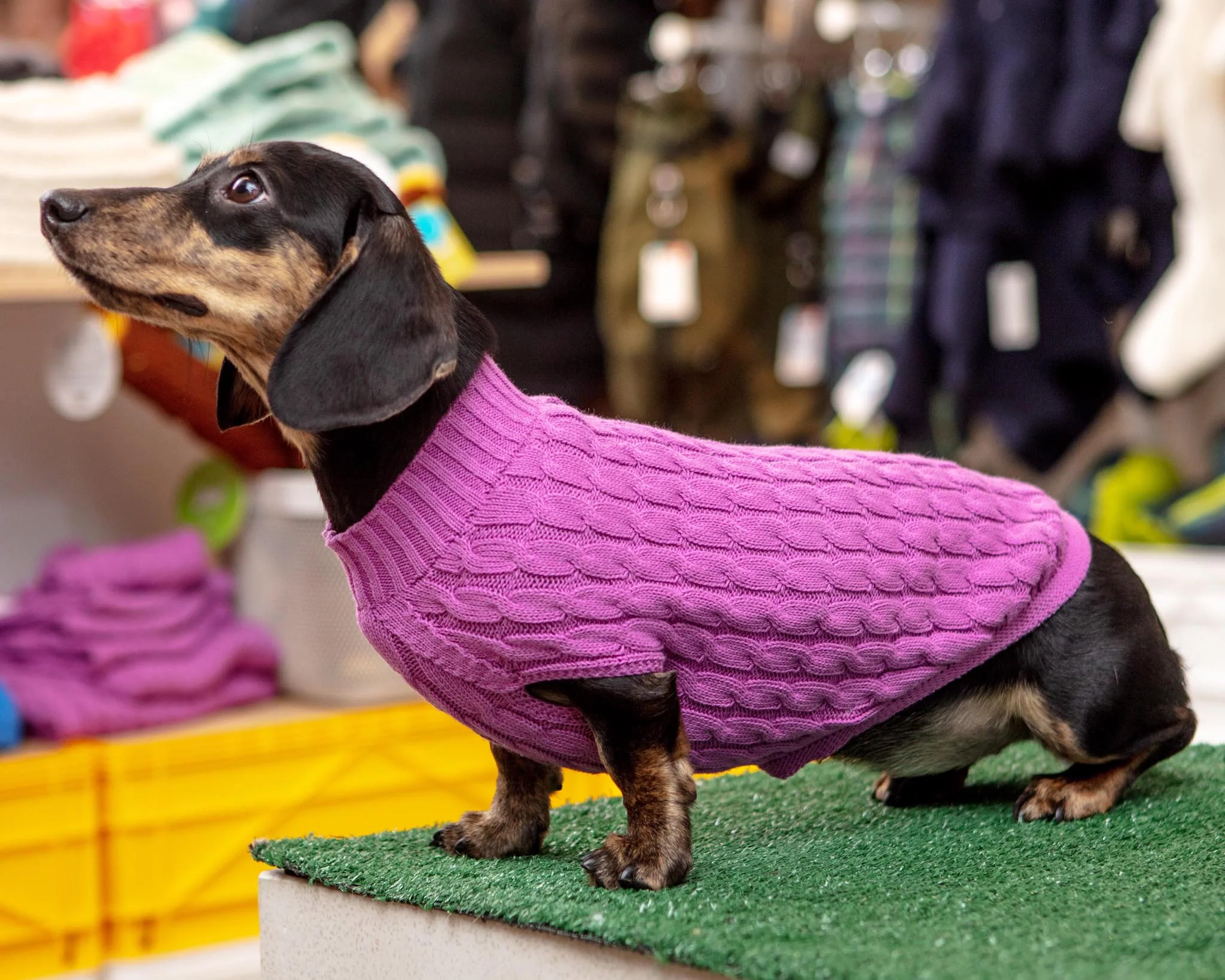 The Uptown Cable Knit Sweater in Radiant Orchid American Cotton (Made in NYC) (FINAL SALE) - Image 6