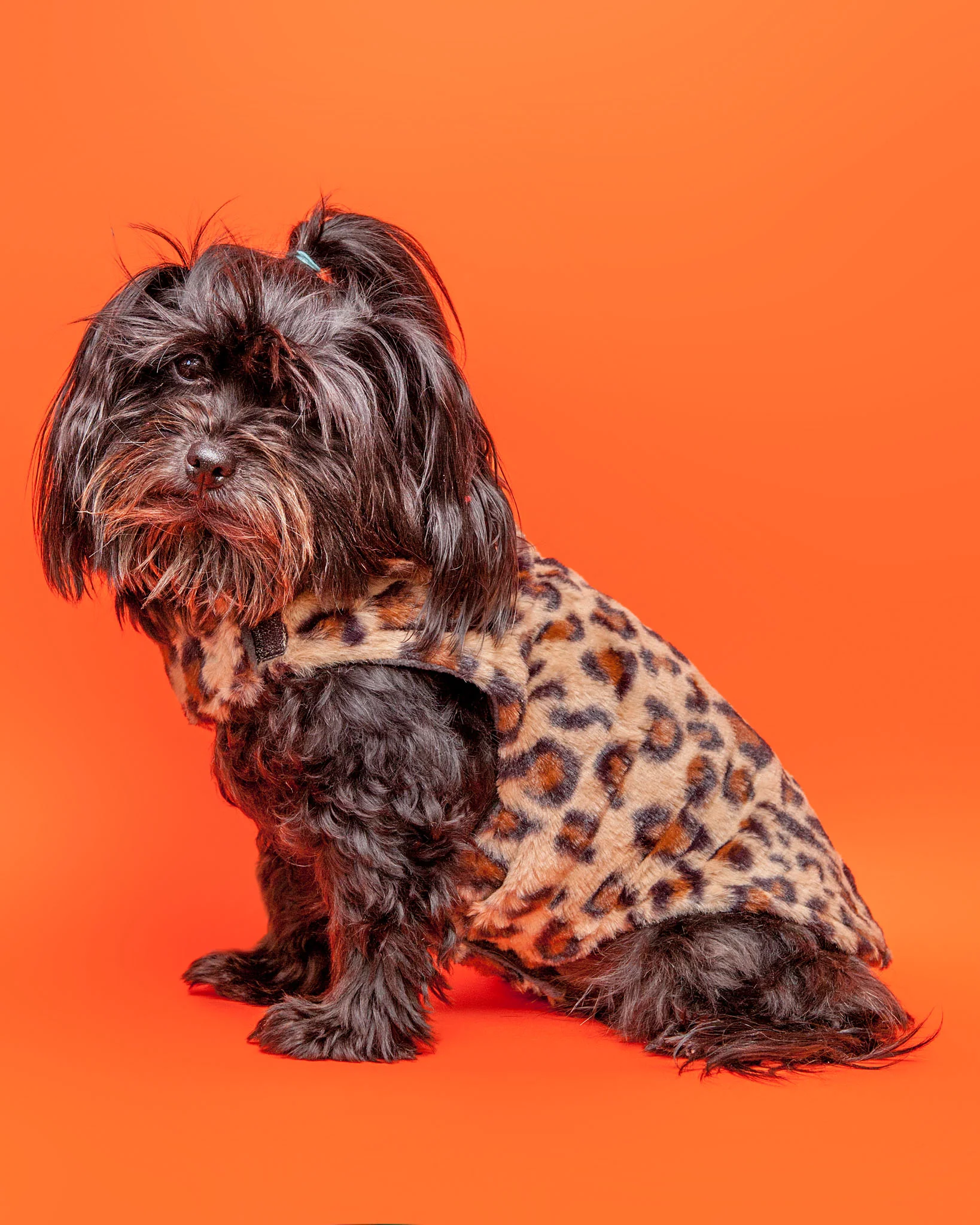 Faux Fur Dog Coat in Leopard - Image 2