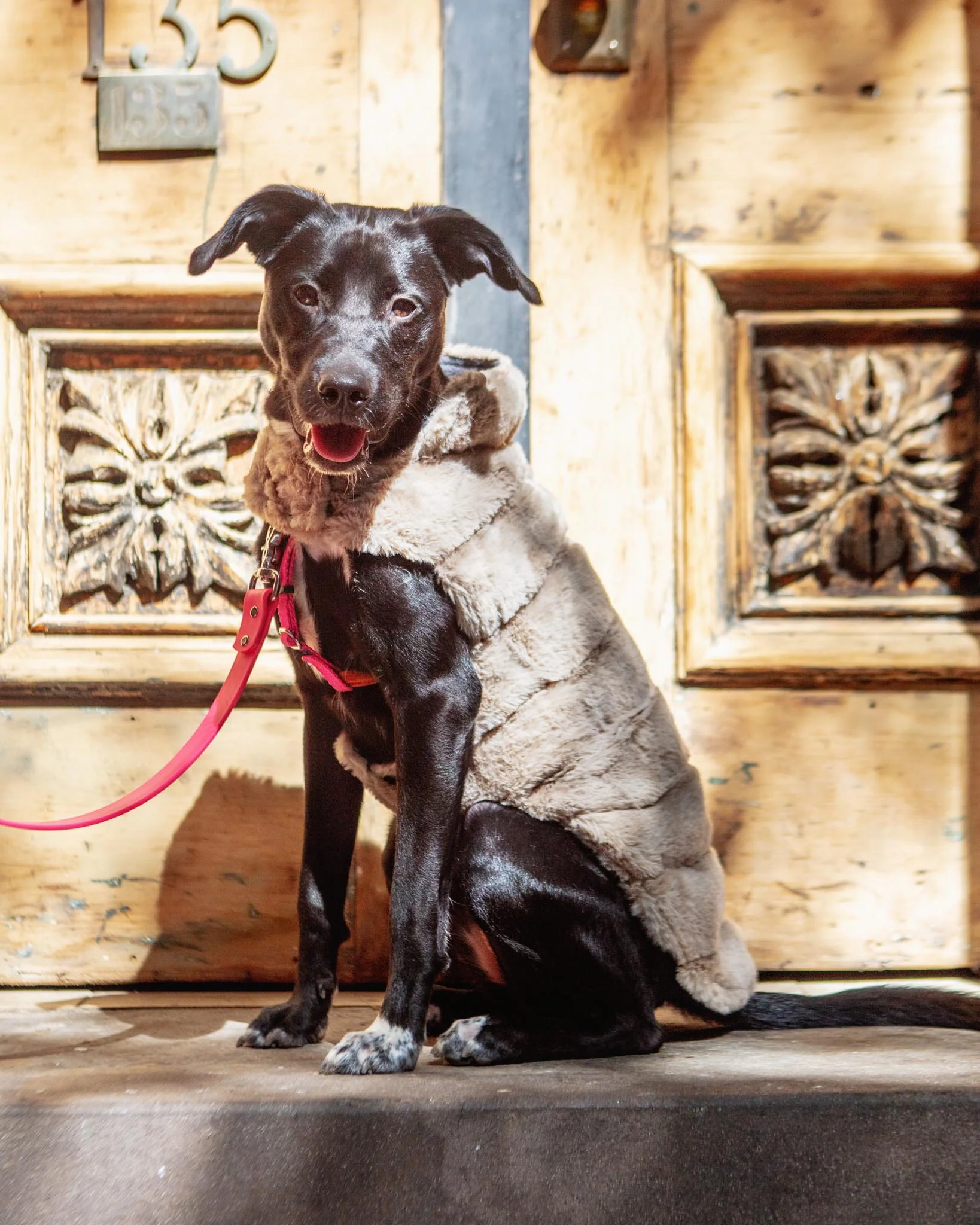 Faux Fur Dog Coat in Beige