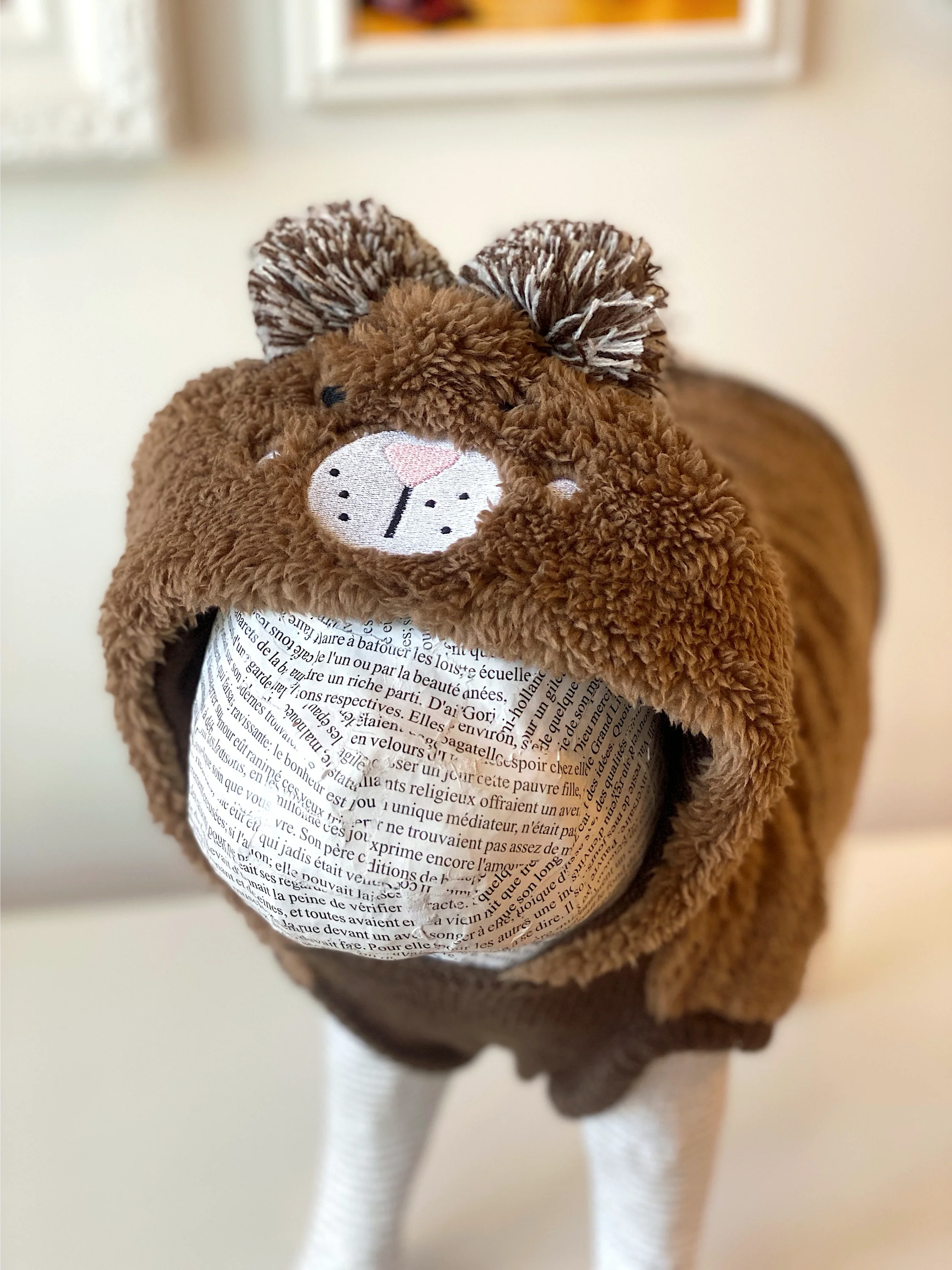 Fuzzy Wuzzy Teddy Bear Dog Hoodie - Image 6