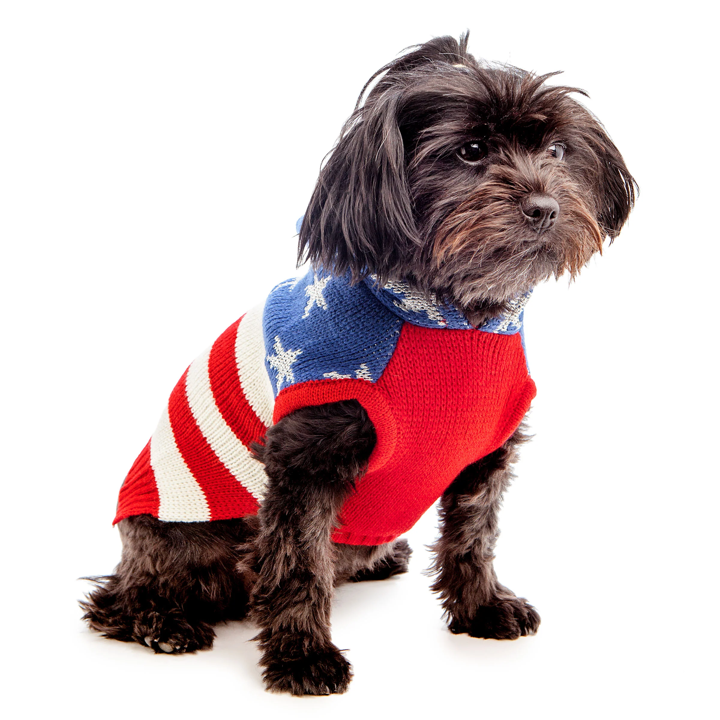 THE WORTHY DOG | Stars and Stripes Hoodie - Image 2