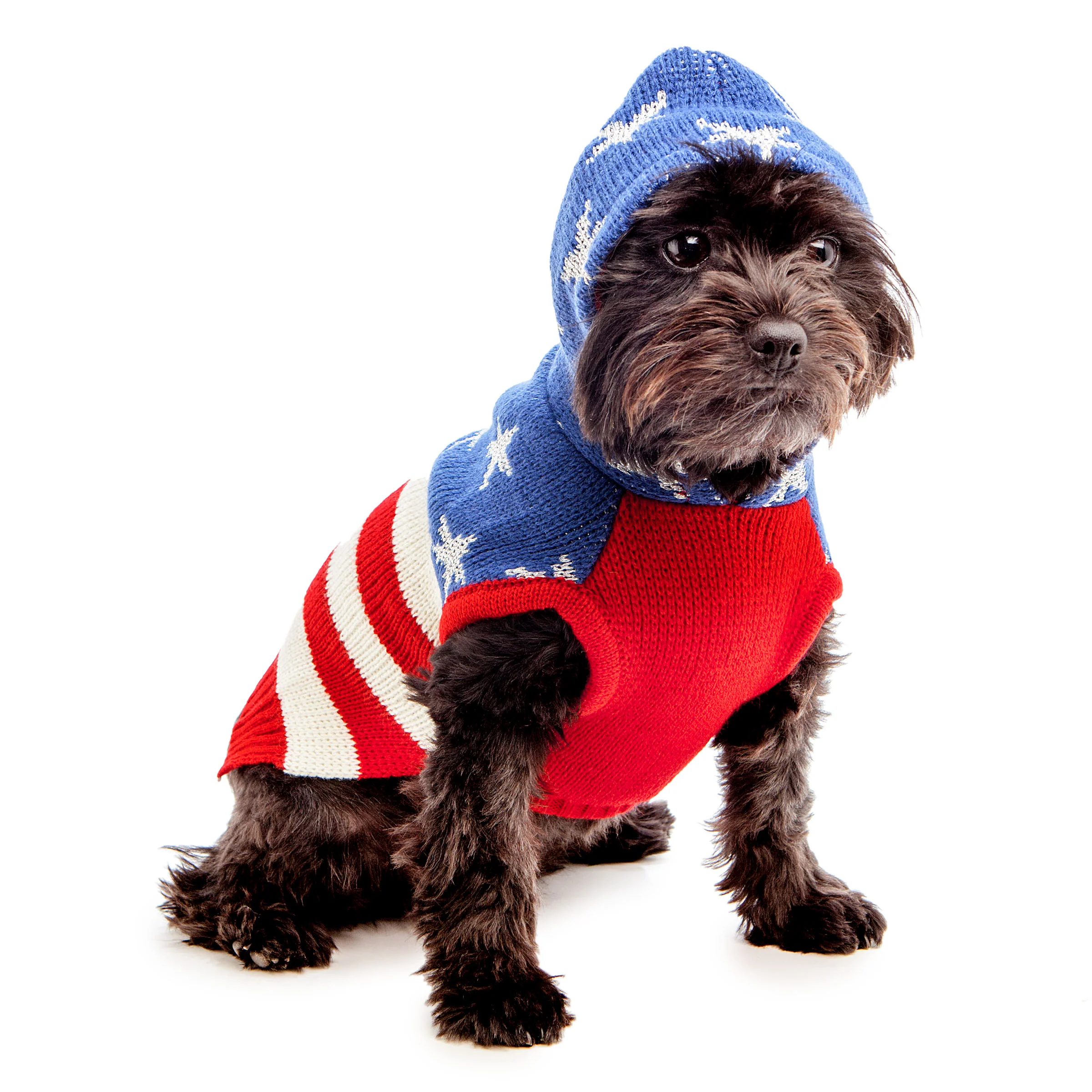 THE WORTHY DOG | Stars and Stripes Hoodie - Image 3