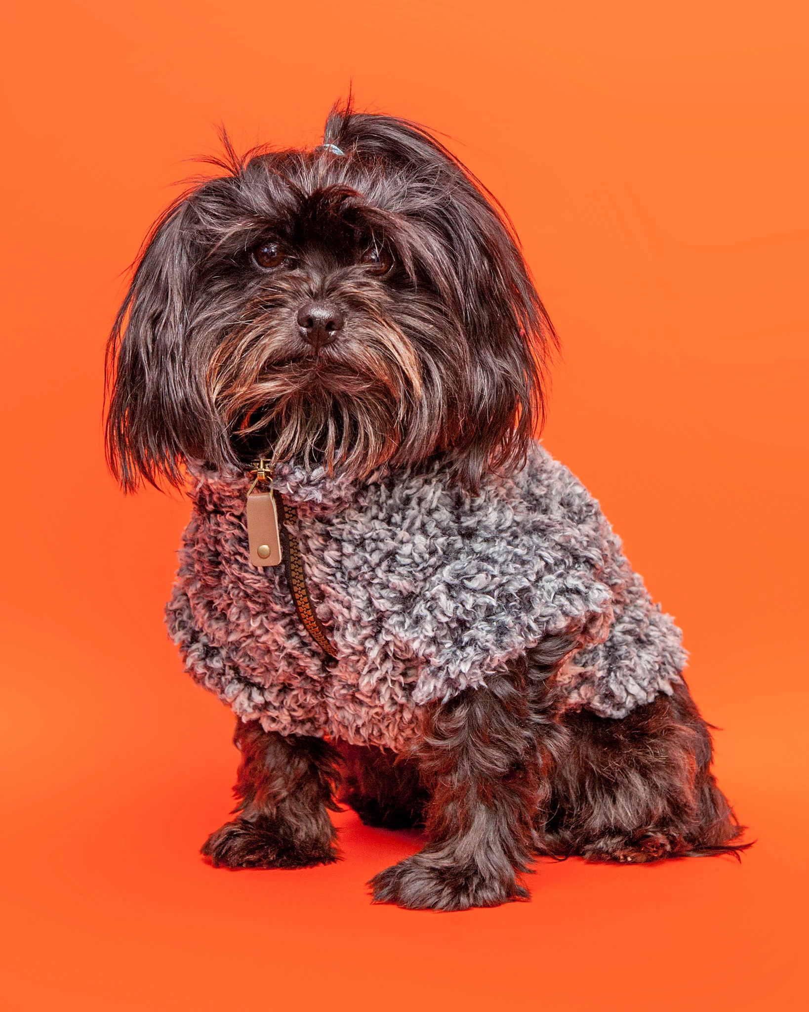 Wubby Quarter-Zip Dog Fleece in Black (FINAL SALE) - Image 2
