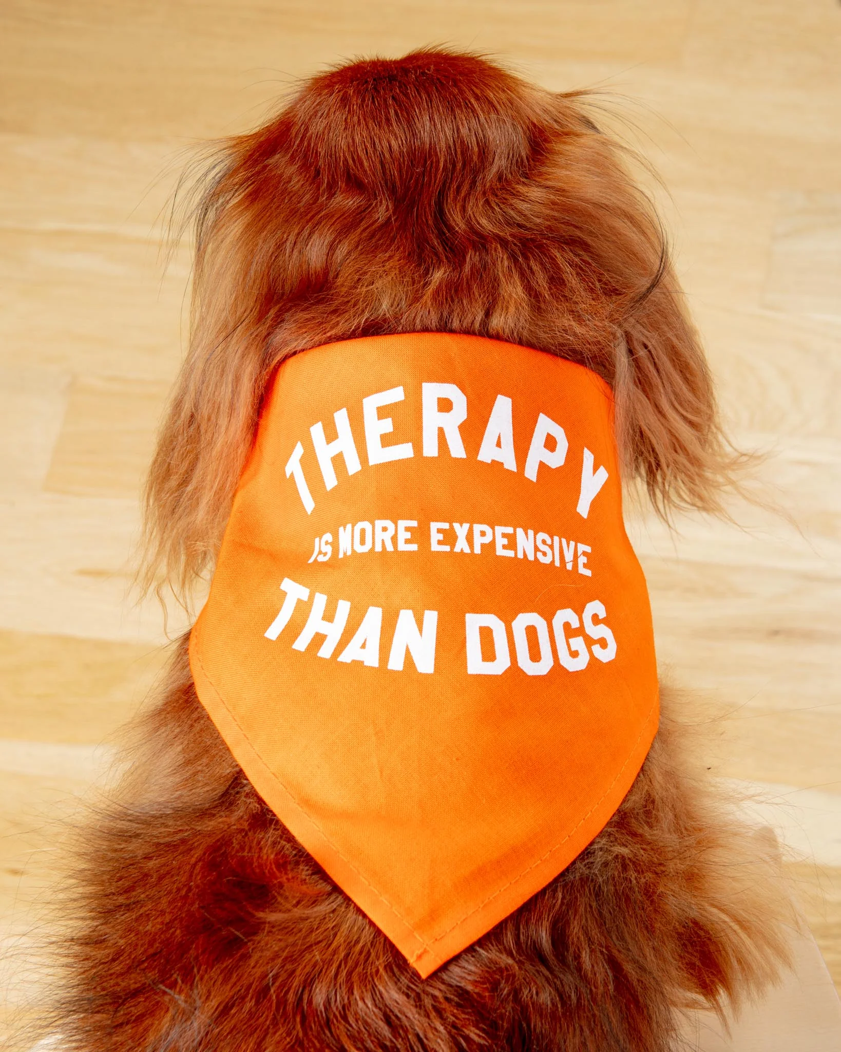 Therapy is More Expensive than Dogs Bandana<br>(Made in the USA) (FINAL SALE) - Image 2