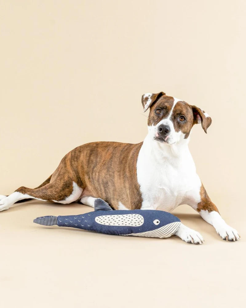 There She Blows Canvas Whale Dog Toy - Image 5