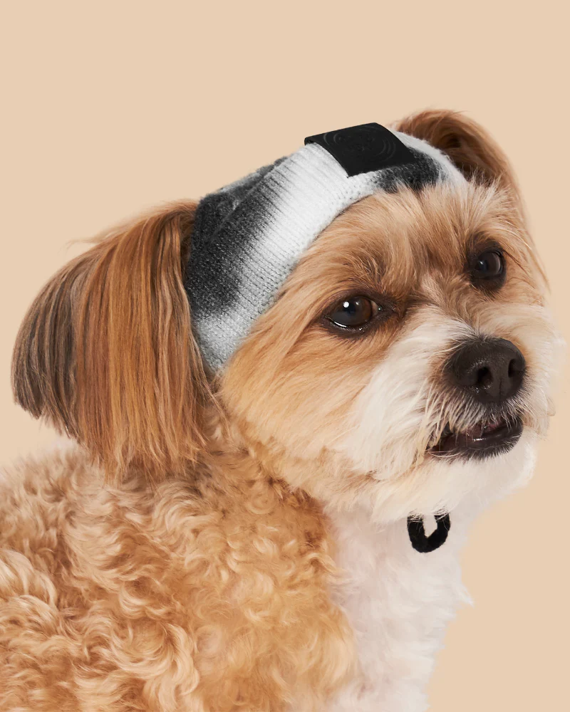 Tie-Dye Dog Beanie in Black & White (FINAL SALE)