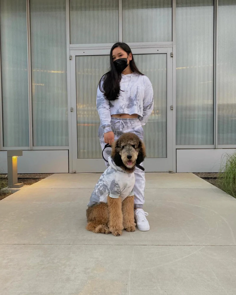 Tie Dye Dog Hoodie in Grey & White (FINAL SALE) - Image 2