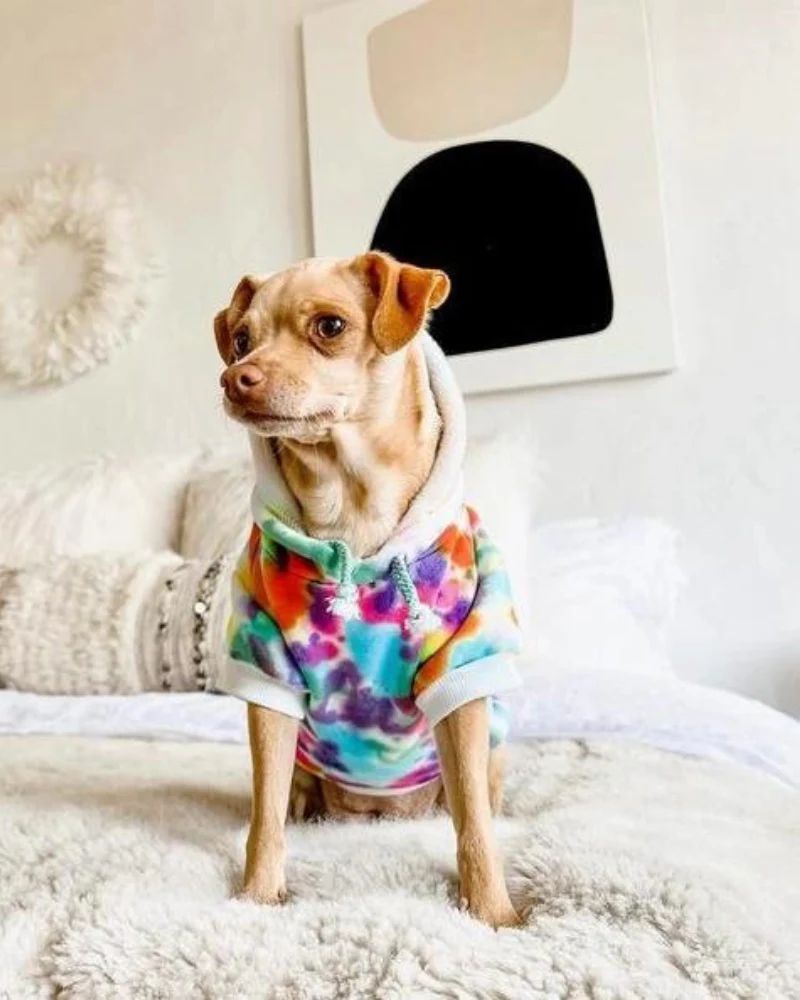 Tie Dye Dog Hoodie in Rainbow - Image 5