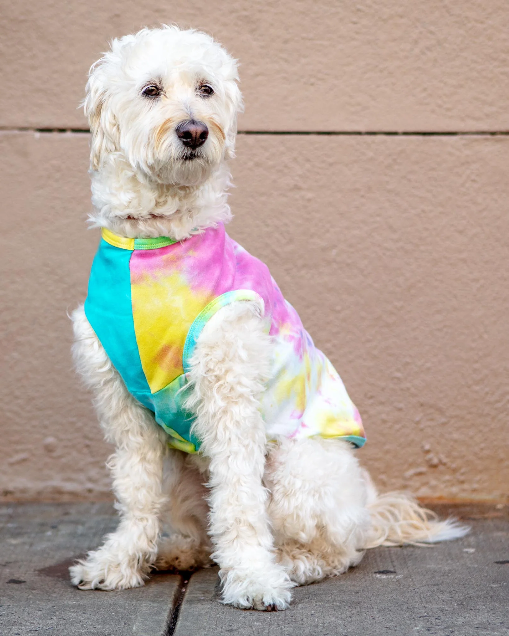 Tie Dye Dog Tee (CLEARANCE) - Image 2