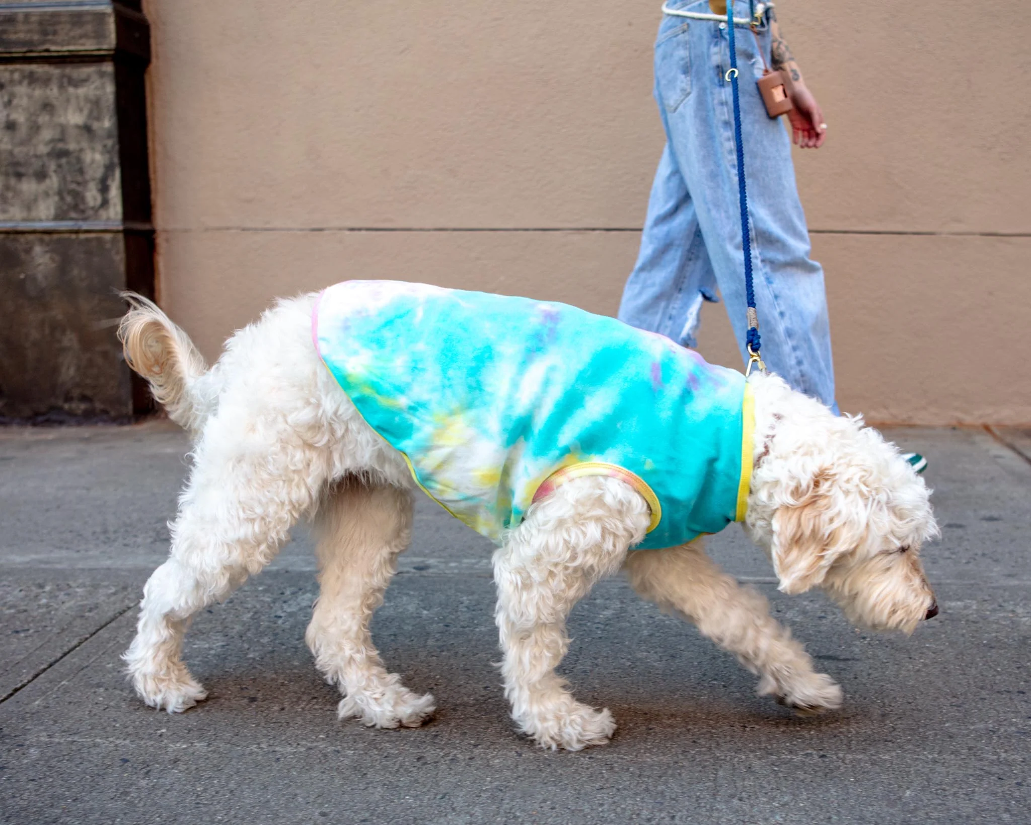 Tie Dye Dog Tee (CLEARANCE) - Image 4