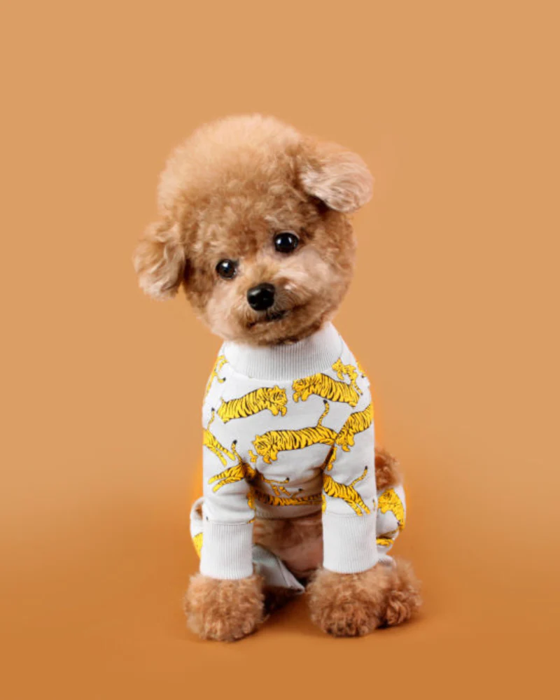 Tiger Dog Onesie (FINAL SALE) - Image 2