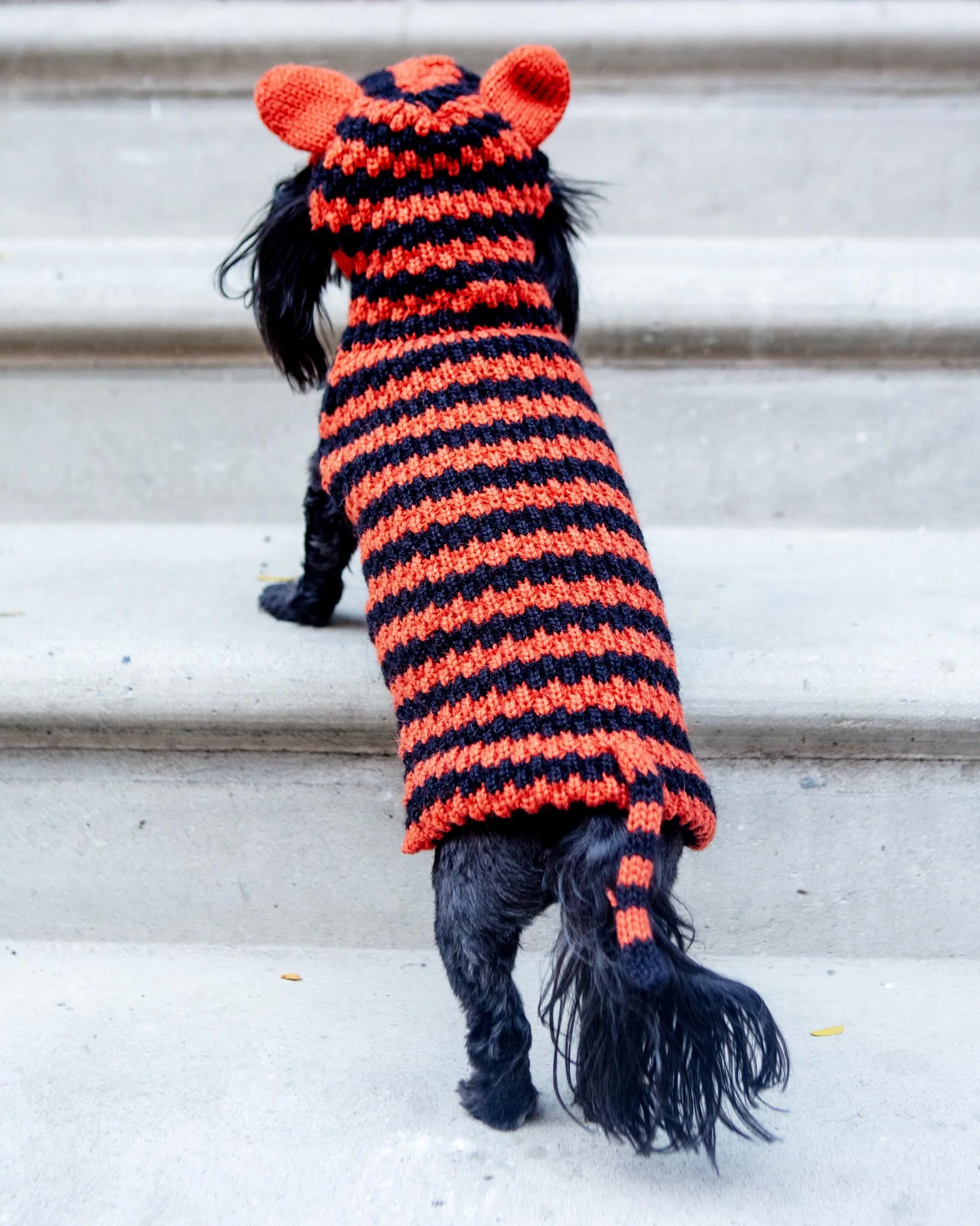 Tiger Hand-Knit Dog Sweater (DOG & CO. Exclusive) (FINAL SALE) - Image 4