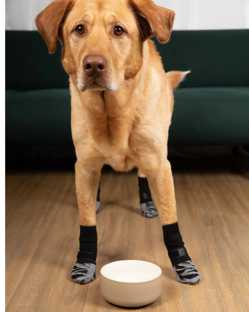 TigerToes Non-Slip Dog Socks - Image 2