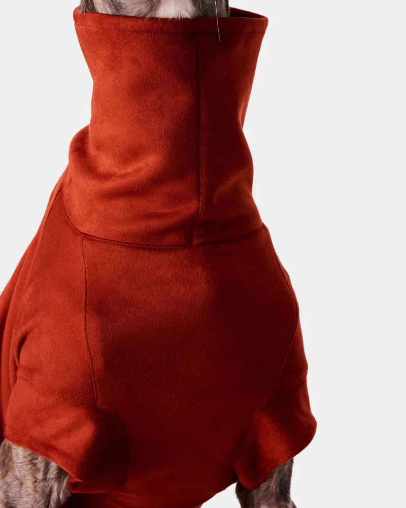 Dog Turtleneck in Tile (FINAL SALE) - Image 3