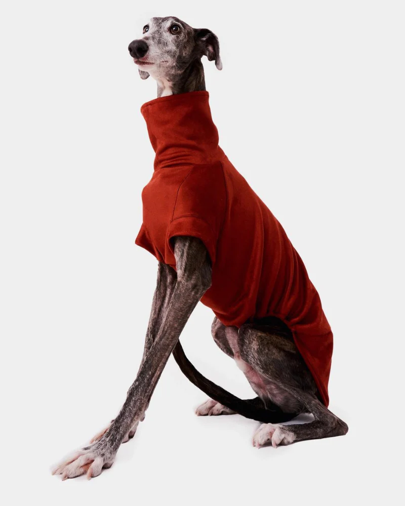 Dog Turtleneck in Tile (FINAL SALE) - Image 4
