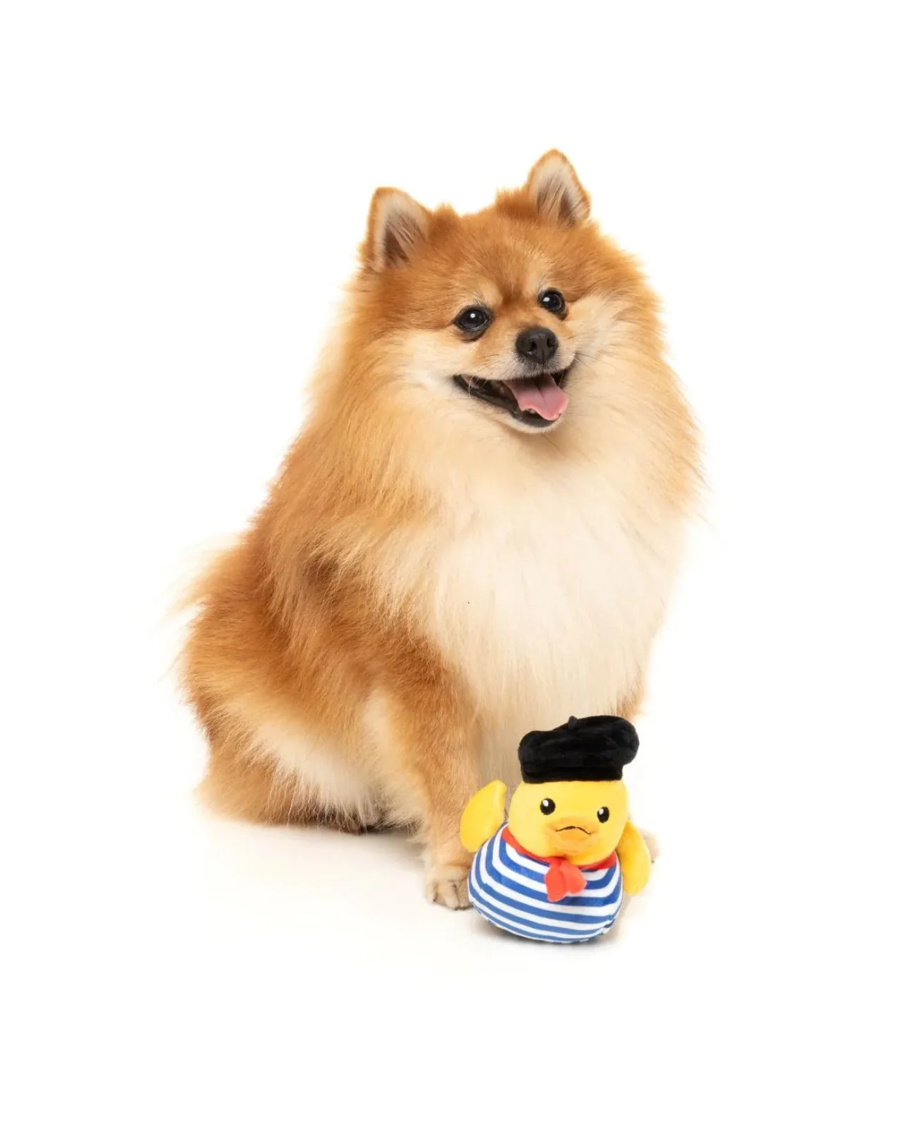 Timotheé Chalaquack Squeaky Plush Dog Toy - Image 5