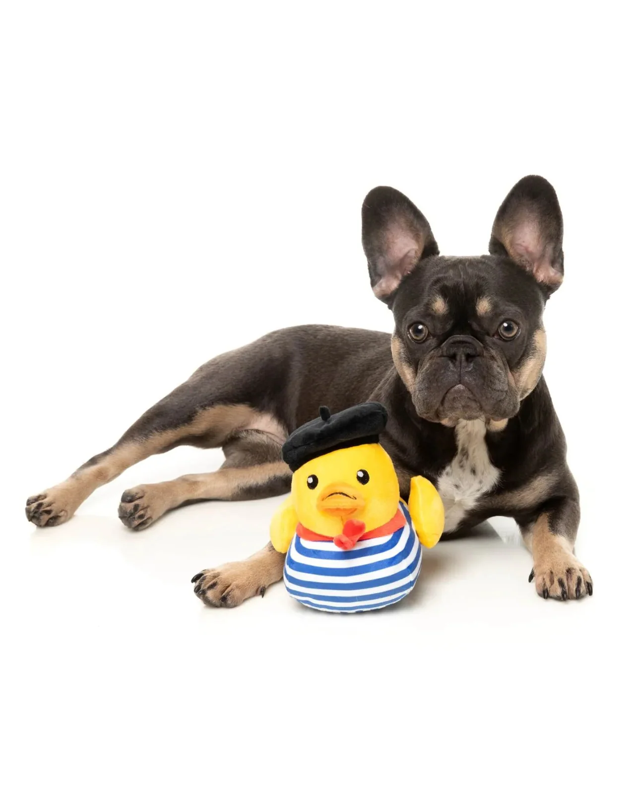 Timotheé Chalaquack Squeaky Plush Dog Toy - Image 6