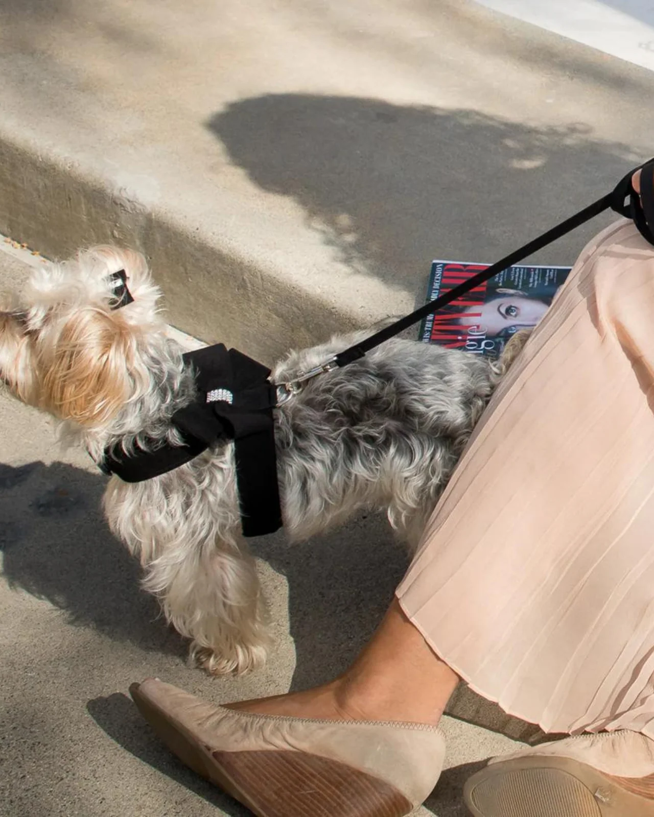 Tinkie Dog Harness in Black or Lavender (Made in the USA) (FINAL SALE) - Image 9