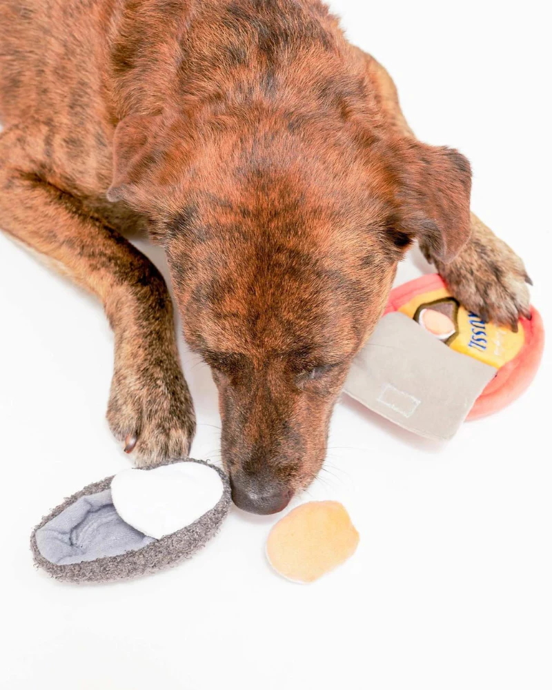 Tinned Mussel Nosework Dog - Image 5