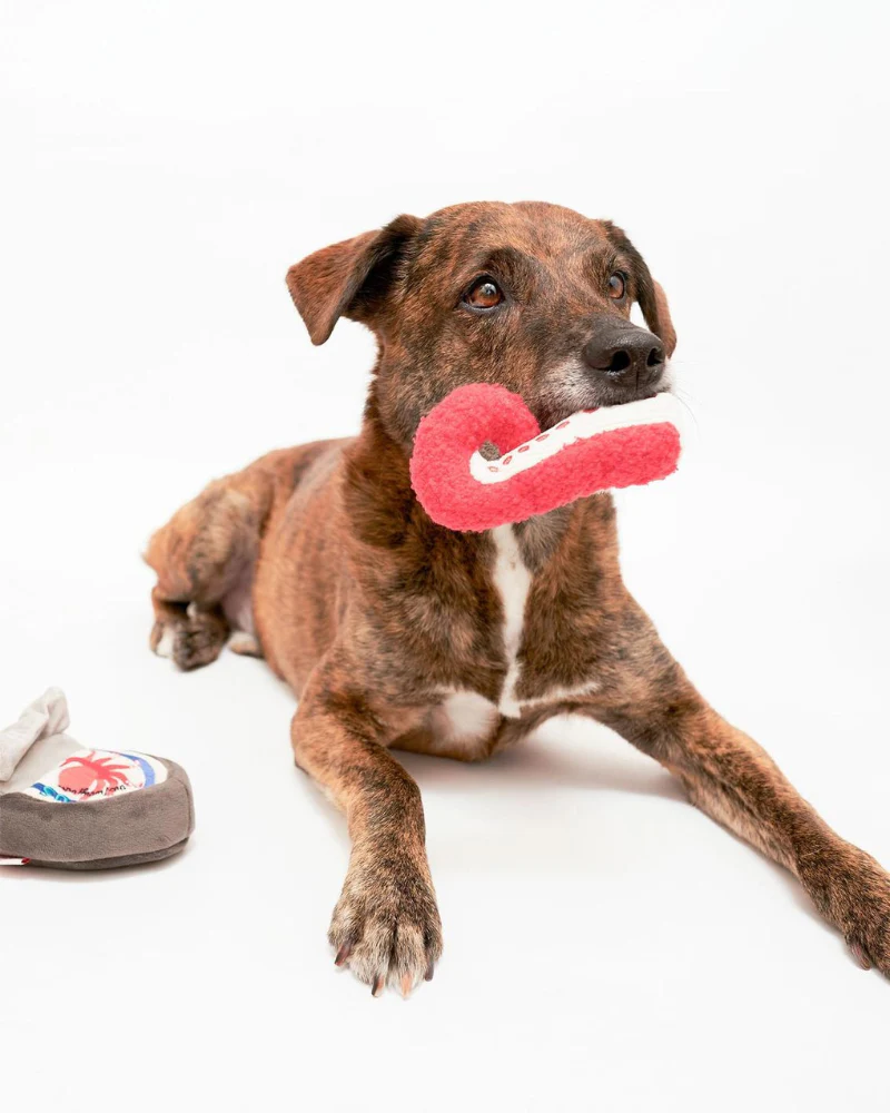 Tinned Octopus Nosework Dog Toy (FINAL SALE) - Image 4