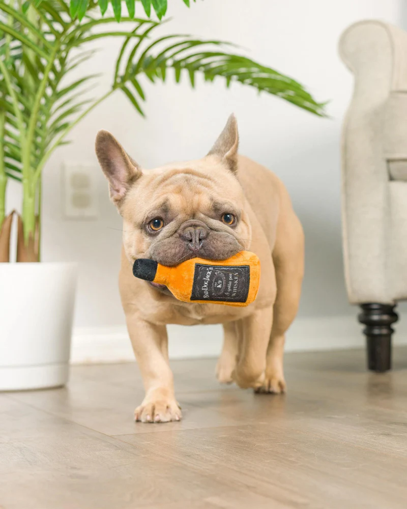 Tiny Tuff Boys Night Out Plush Dog Toy (2-Pack) - Image 5